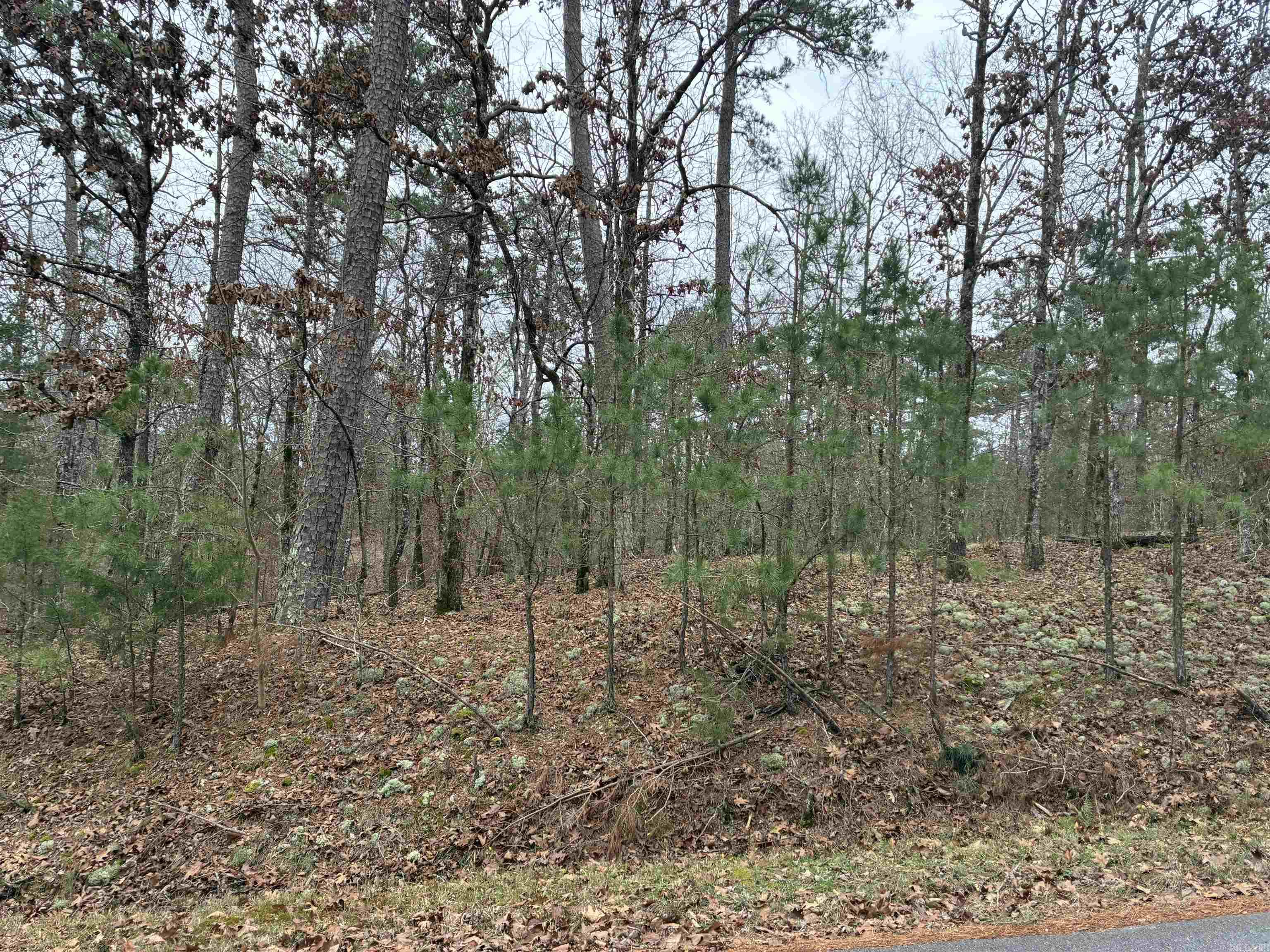 Lot 2 Pinocha Way  Hot Springs Village, AR
