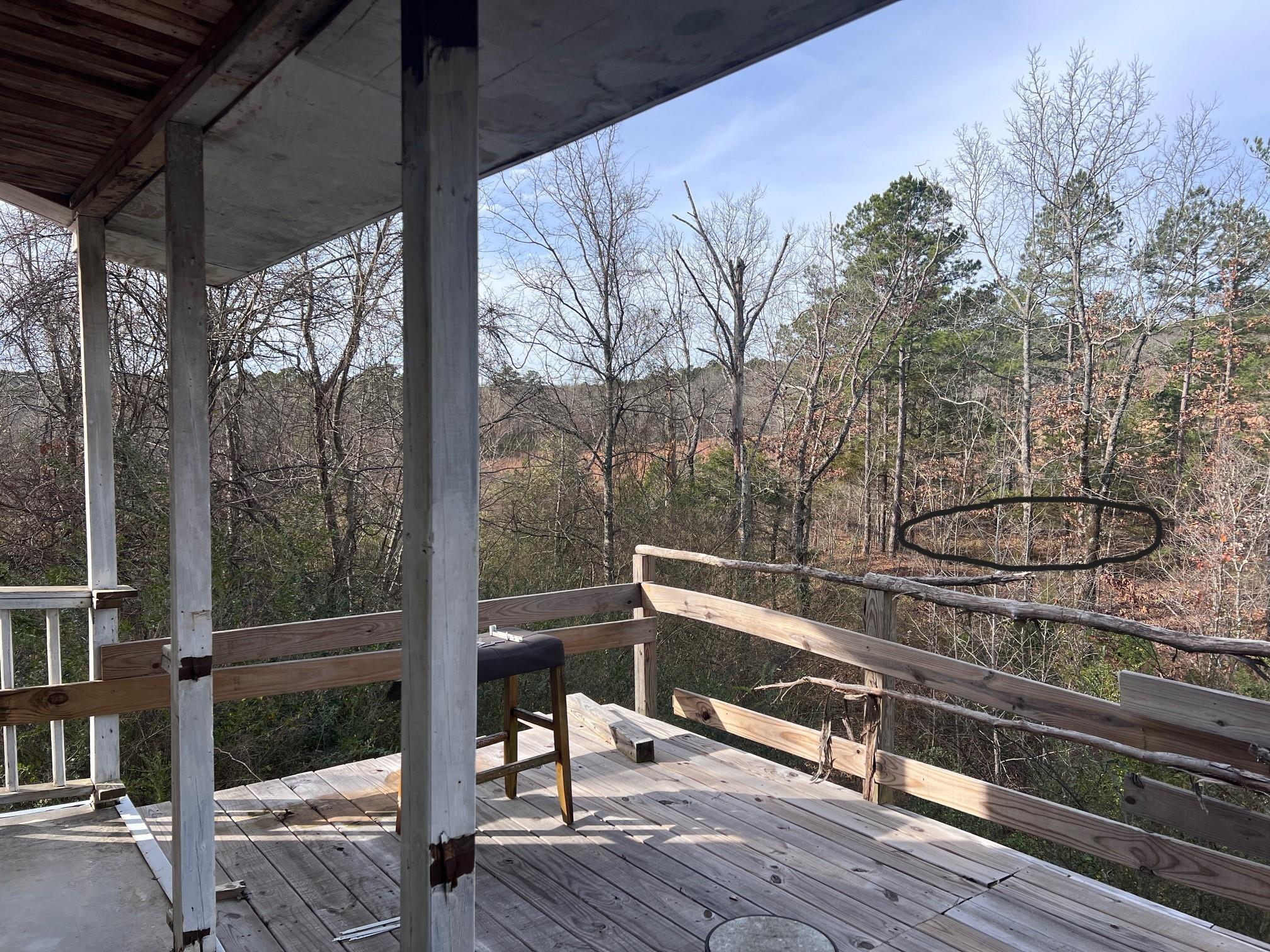 285 Dog Young Road Mountain View, AR 72560