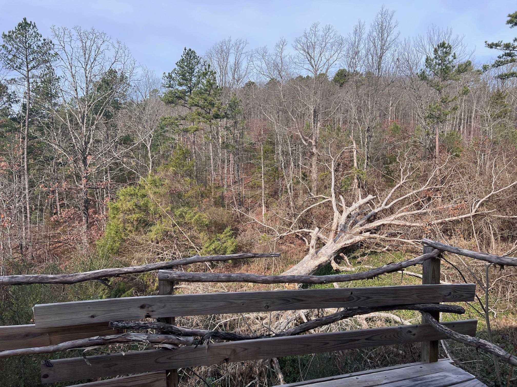 285 Dog Young Road Mountain View, AR 72560