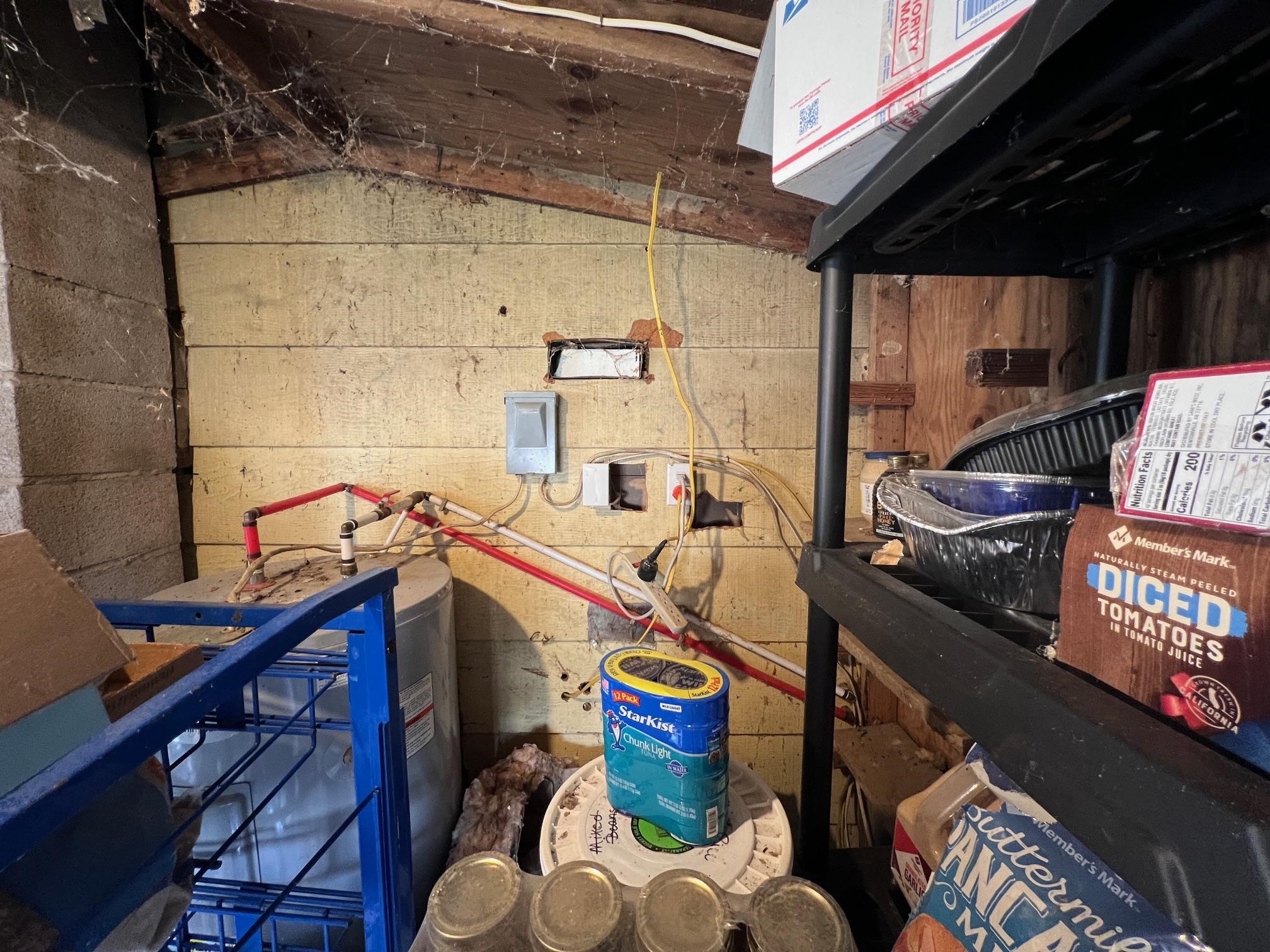 285 Dog Young Road Mountain View, AR 72560