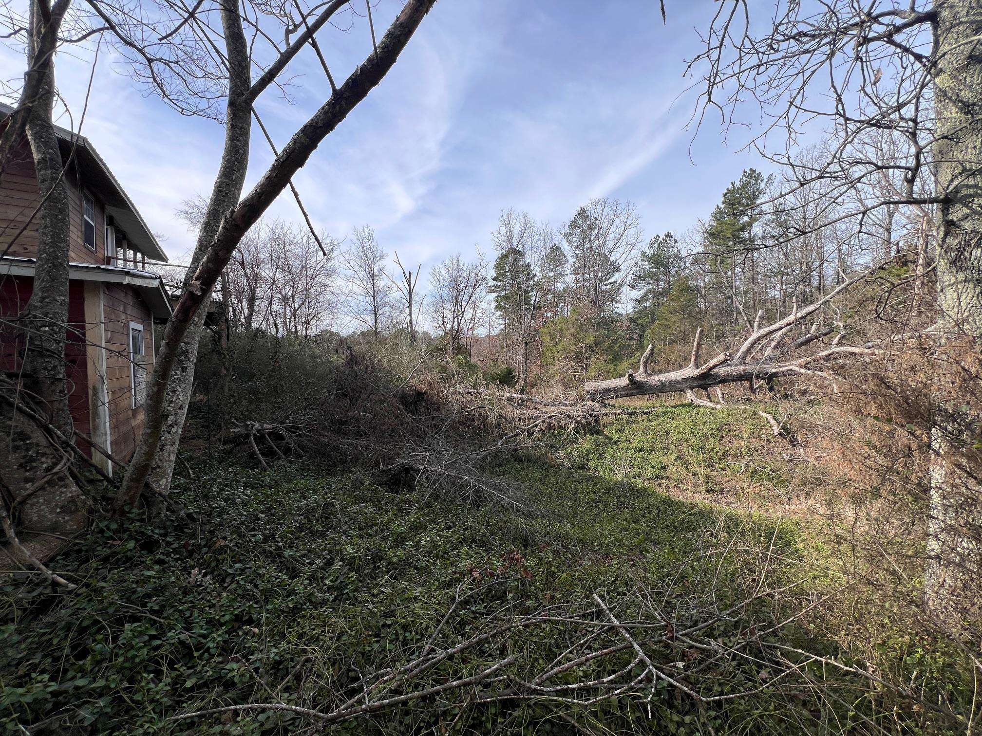 285 Dog Young Road Mountain View, AR 72560