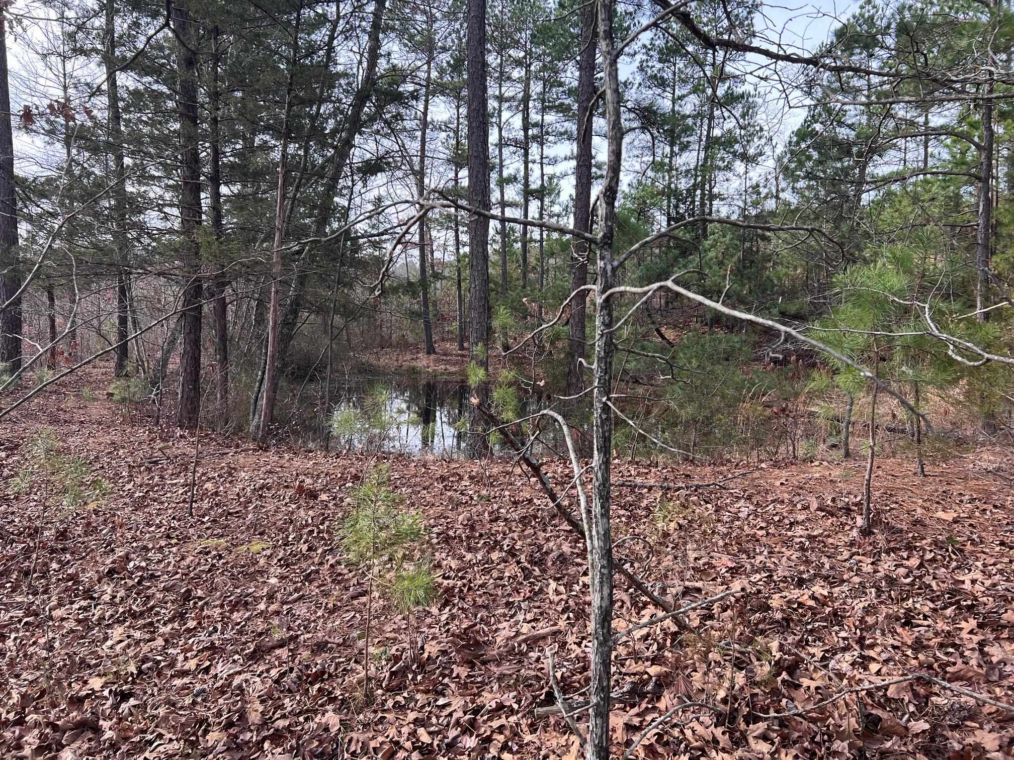 285 Dog Young Road Mountain View, AR 72560