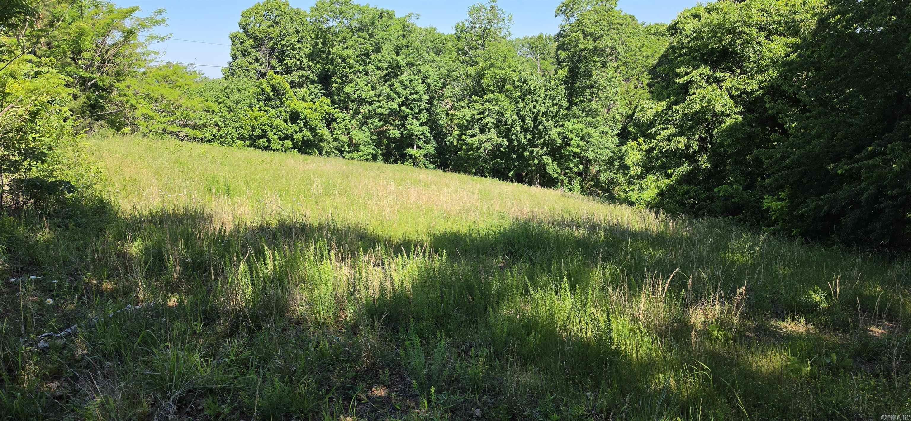 181 Trout Farm  Marshall, AR