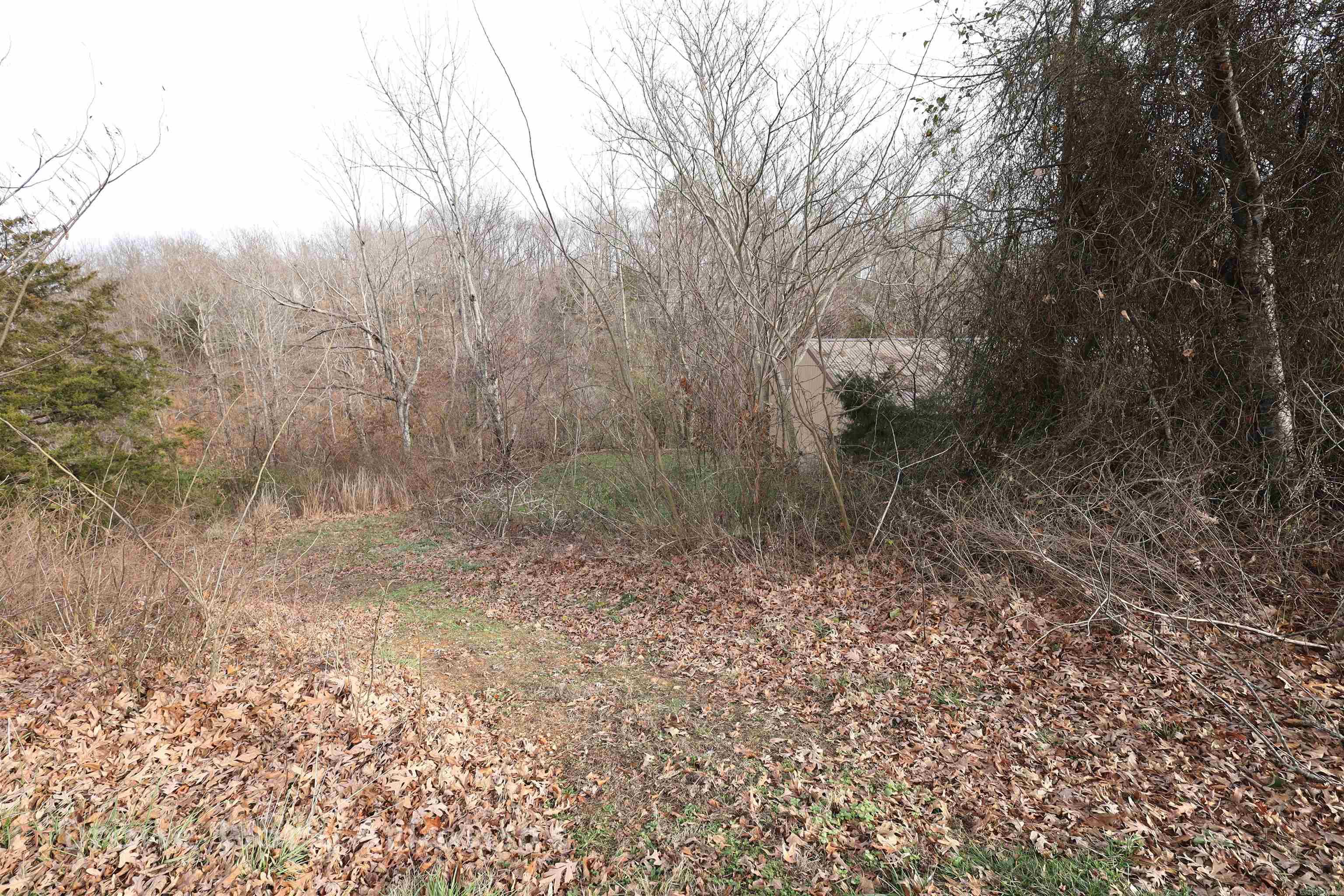 181 Trout Farm  Marshall, AR