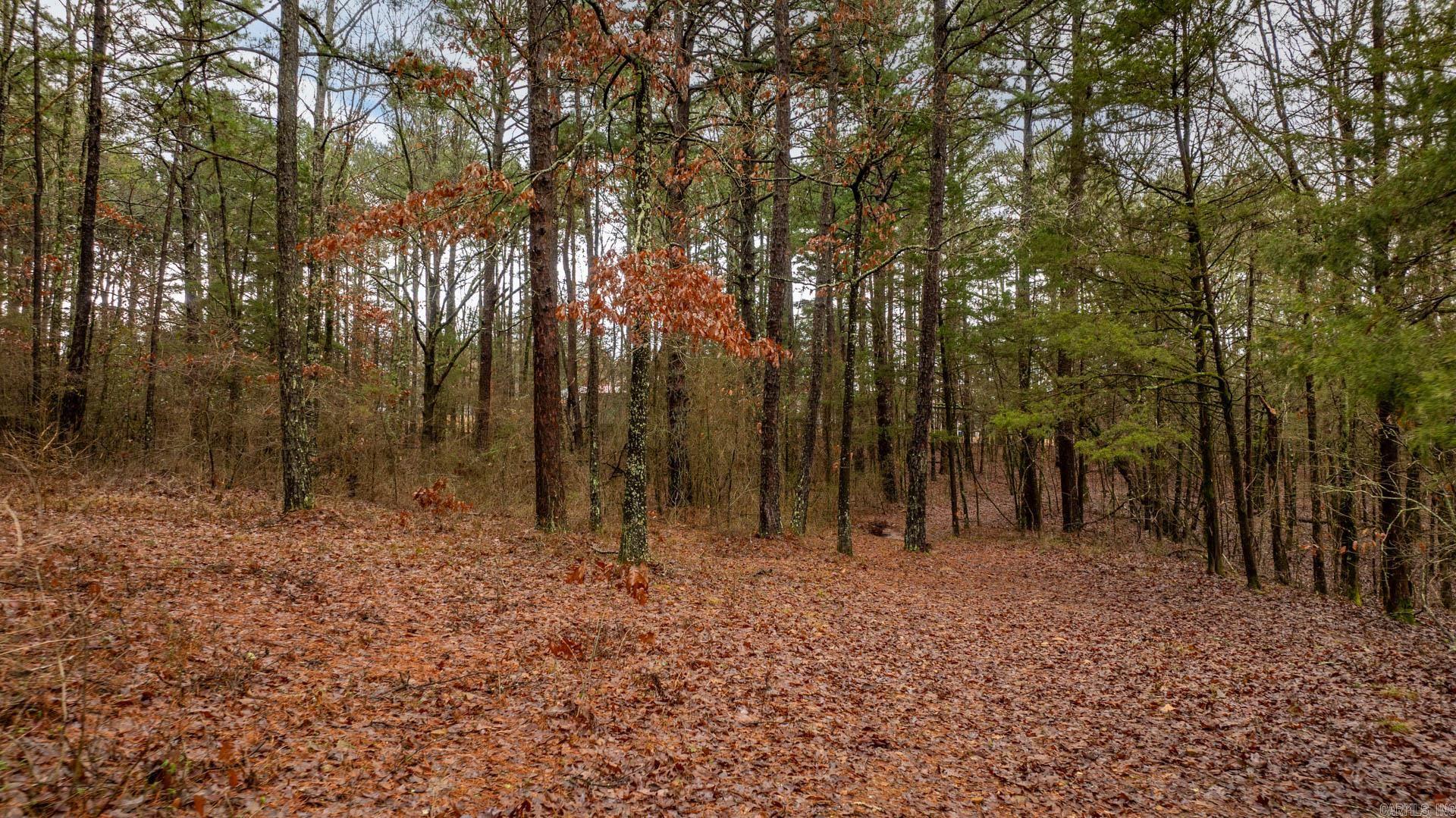 0 Higgins  Greers Ferry, AR