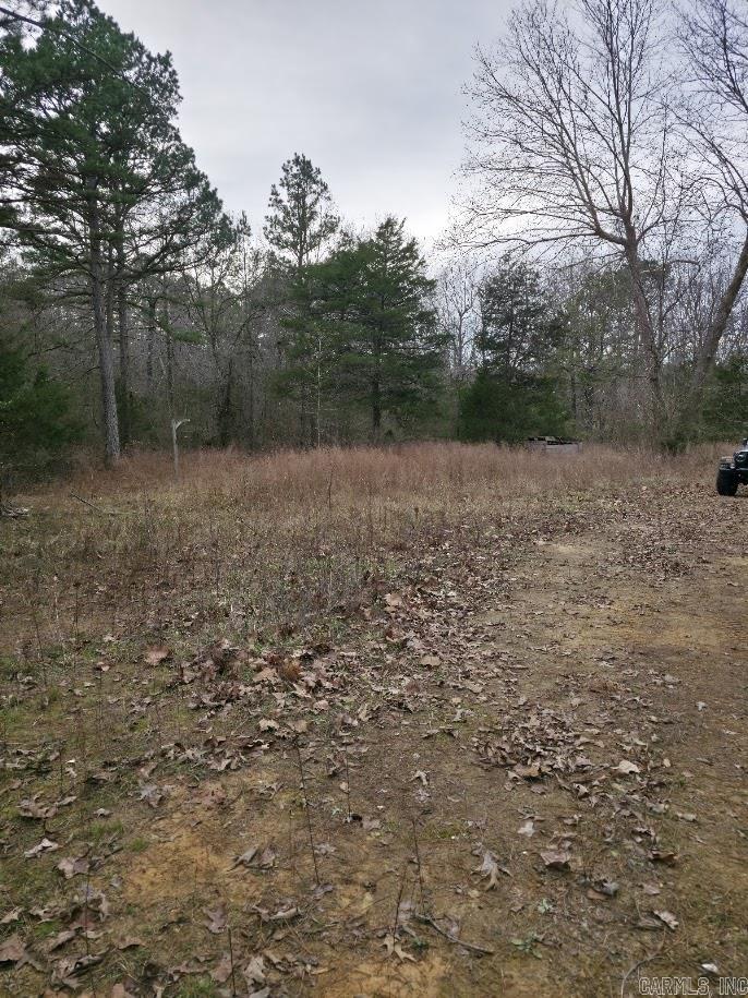 287 Thistle Valley  Violet Hill, AR