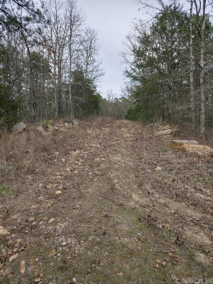 287 Thistle Valley  Violet Hill, AR