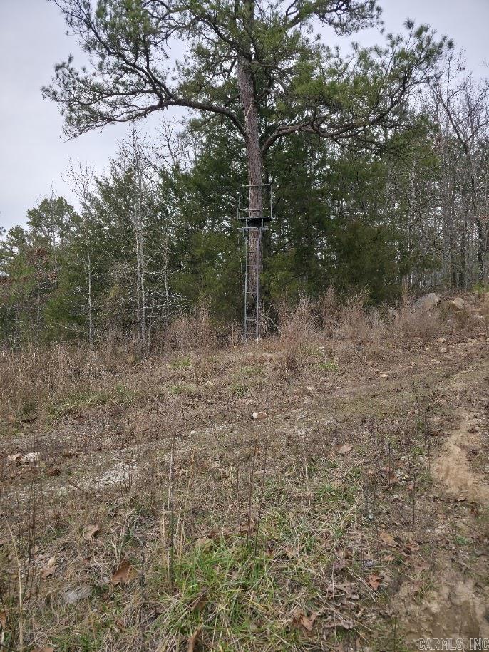 287 Thistle Valley  Violet Hill, AR