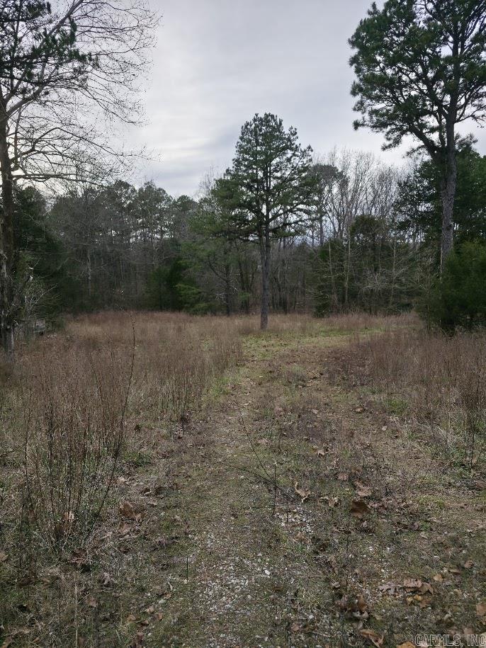 287 Thistle Valley  Violet Hill, AR