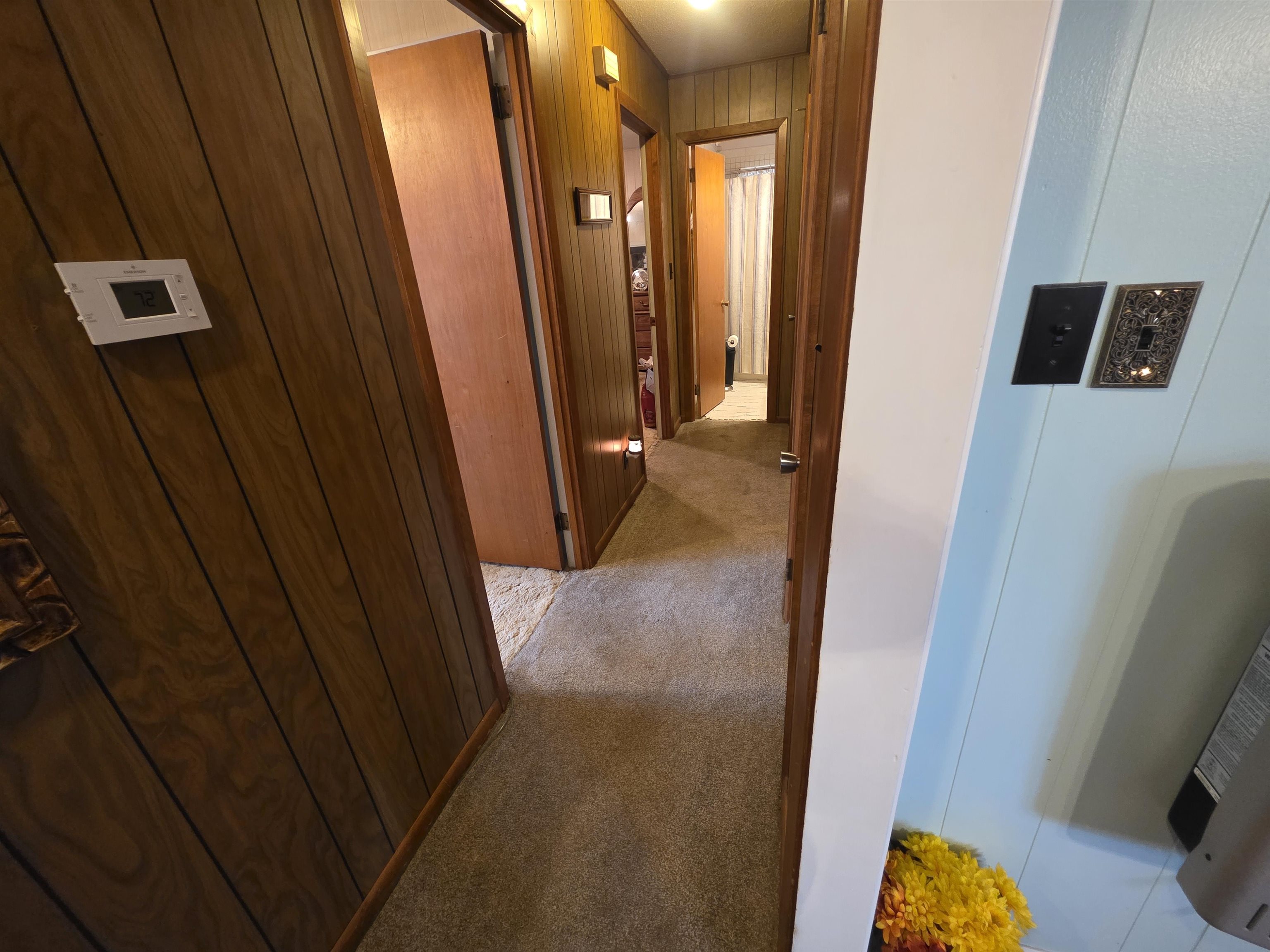 50 Cheyenne  Cherokee Village, AR