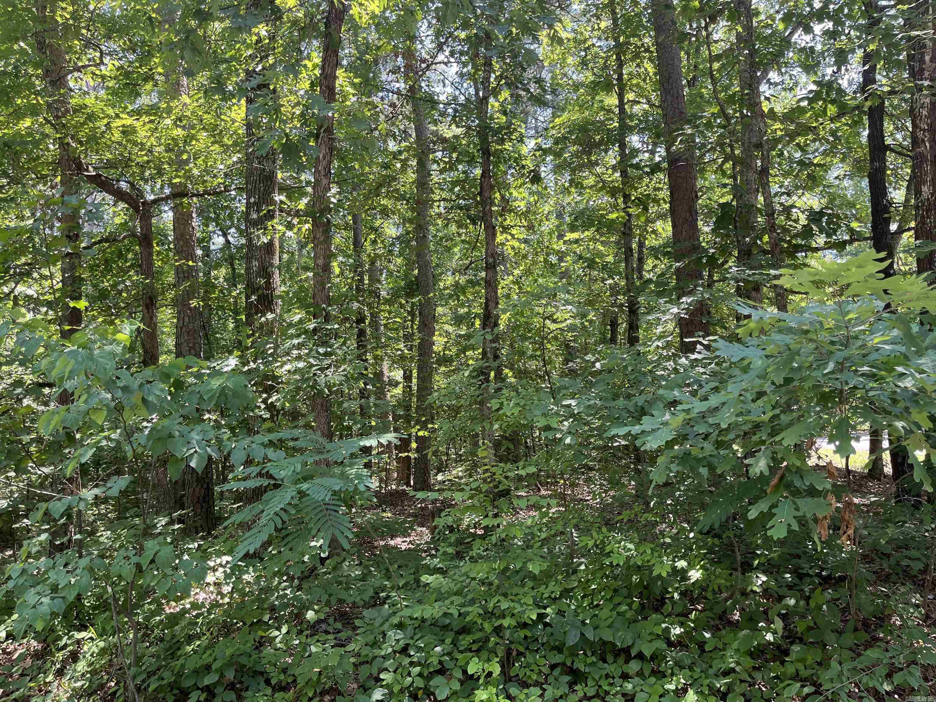 106 Murillo Way  Hot Springs Village, AR