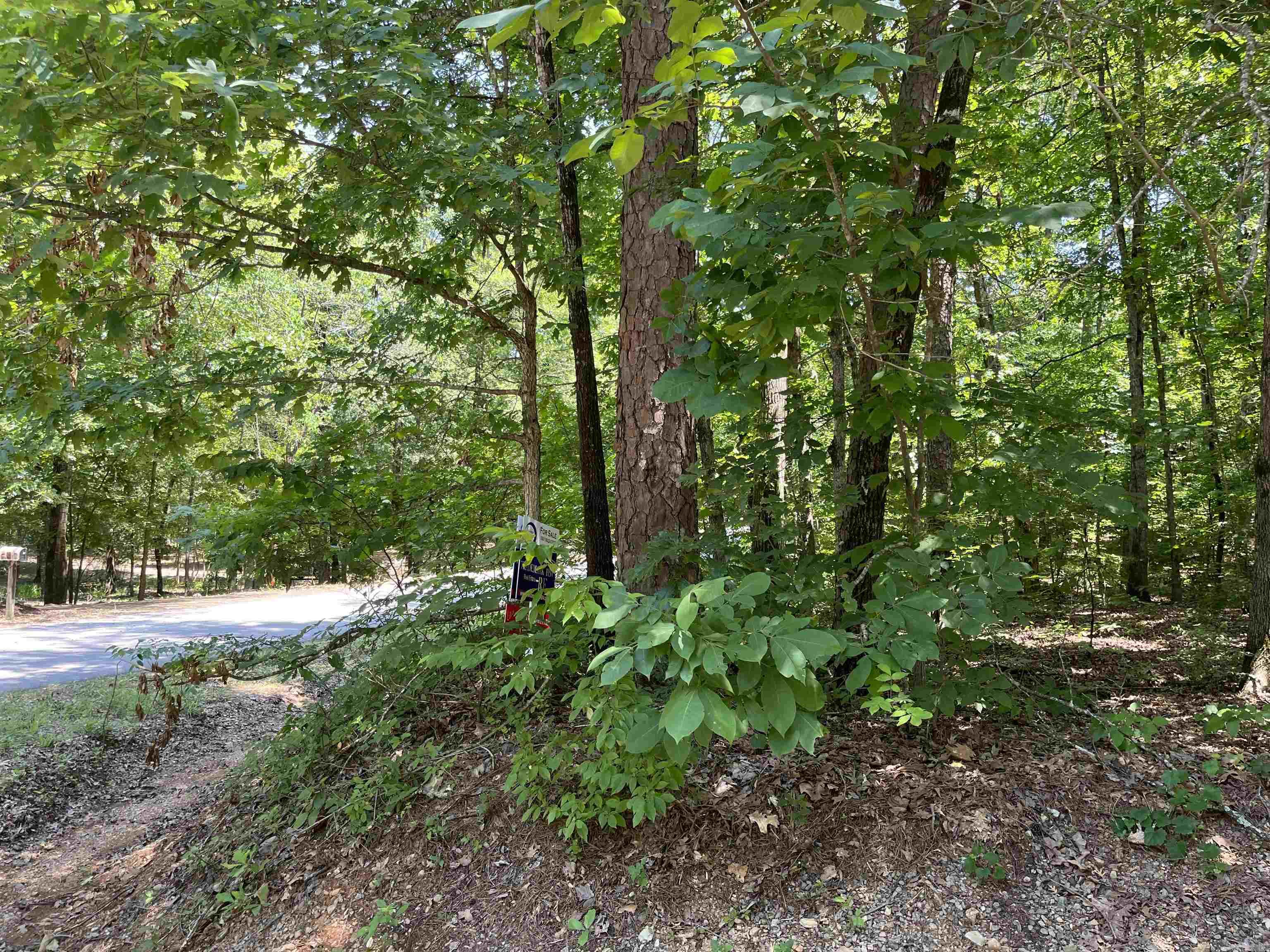 106 Murillo Way  Hot Springs Village, AR