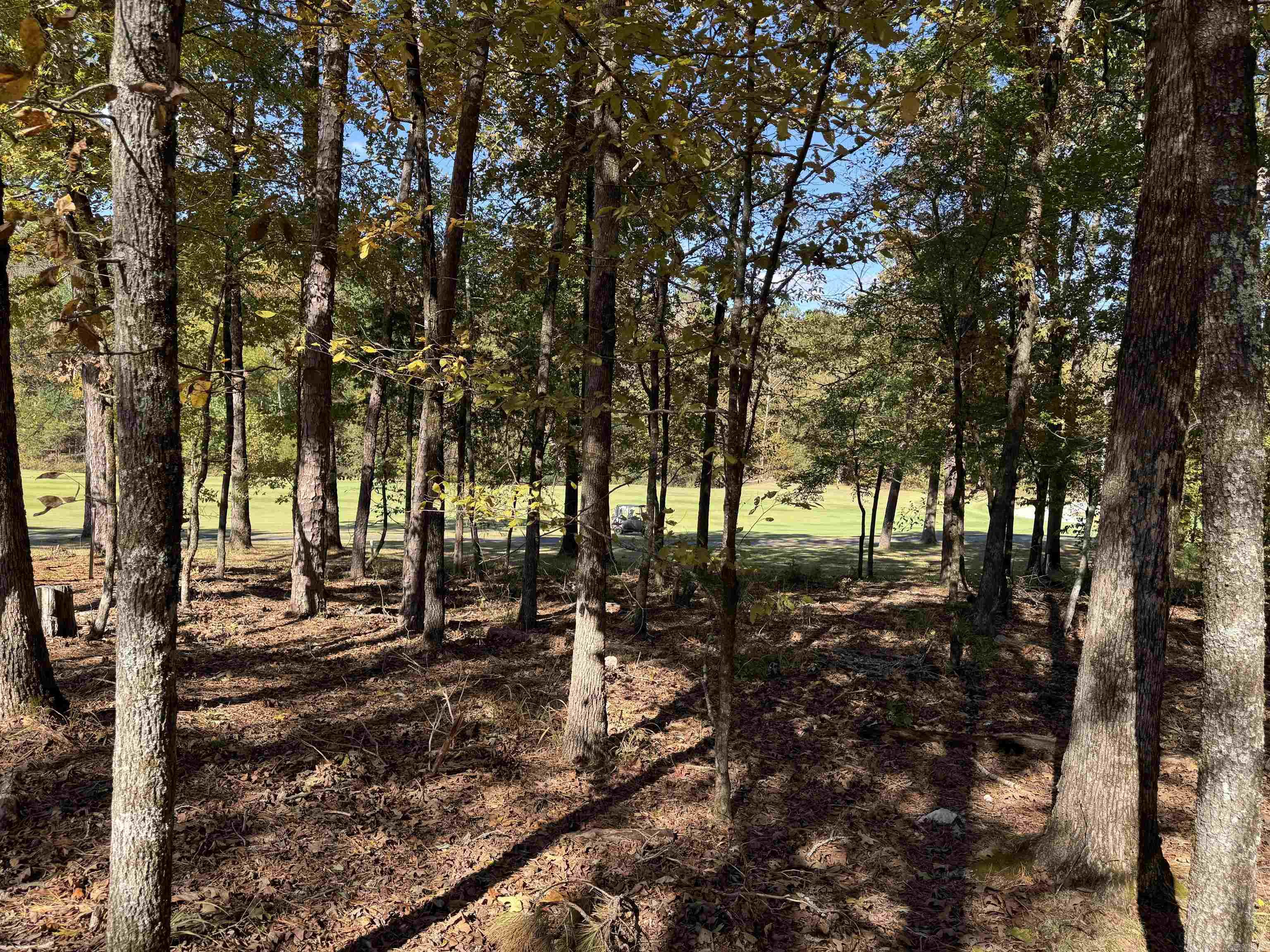 18 Darro  Hot Springs Village, AR