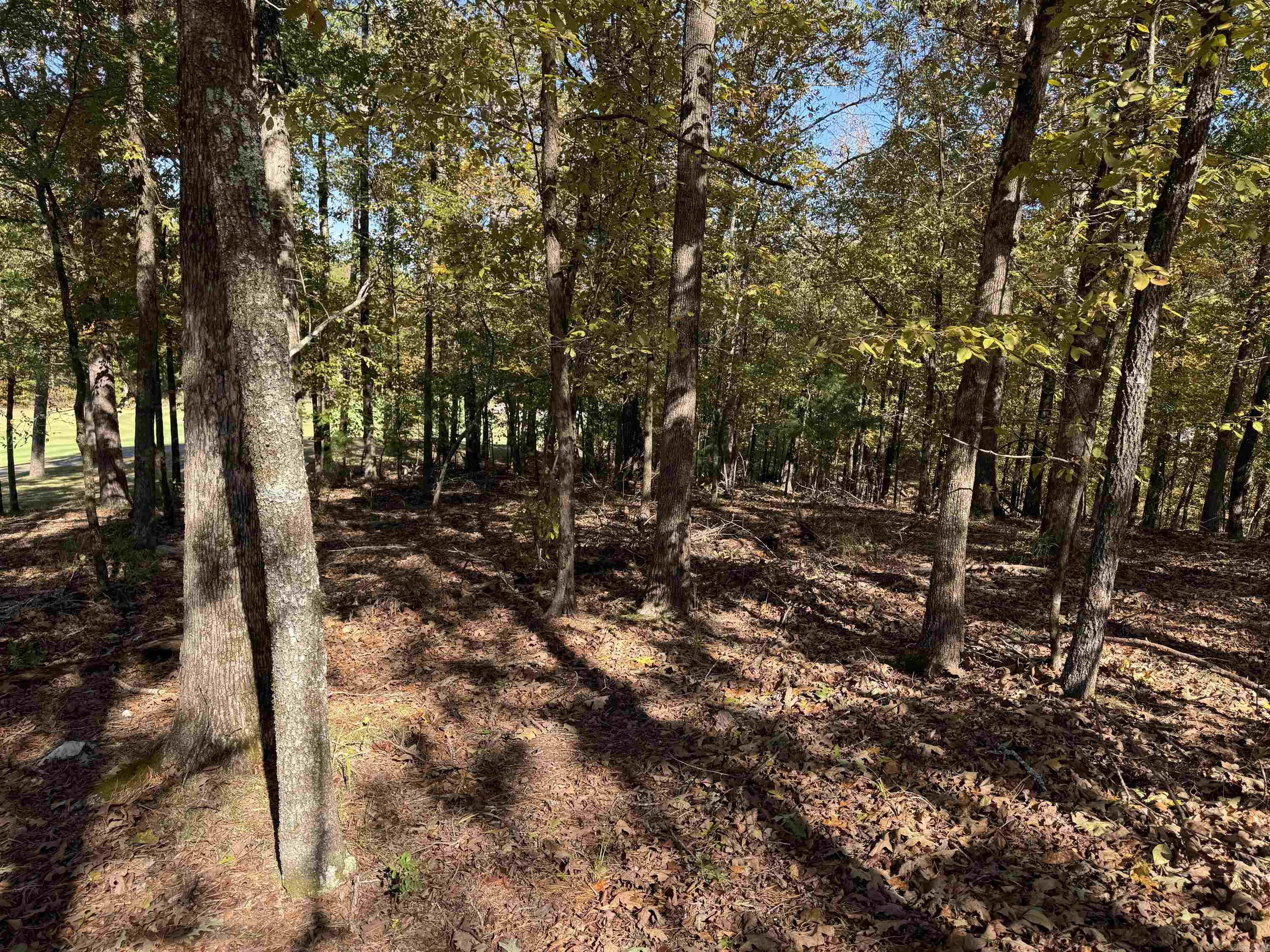 18 Darro  Hot Springs Village, AR