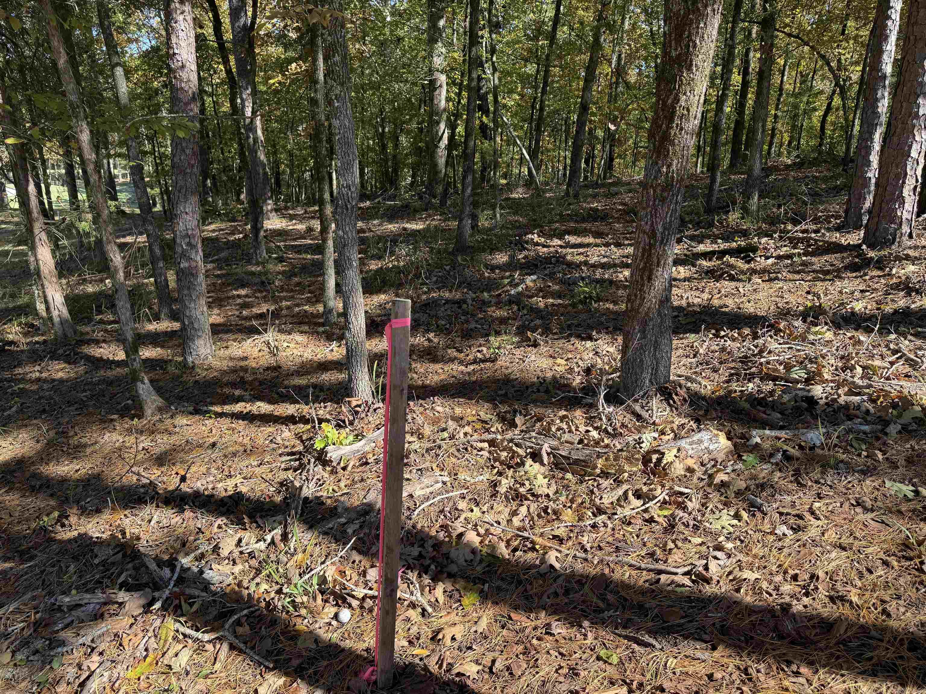 18 Darro  Hot Springs Village, AR