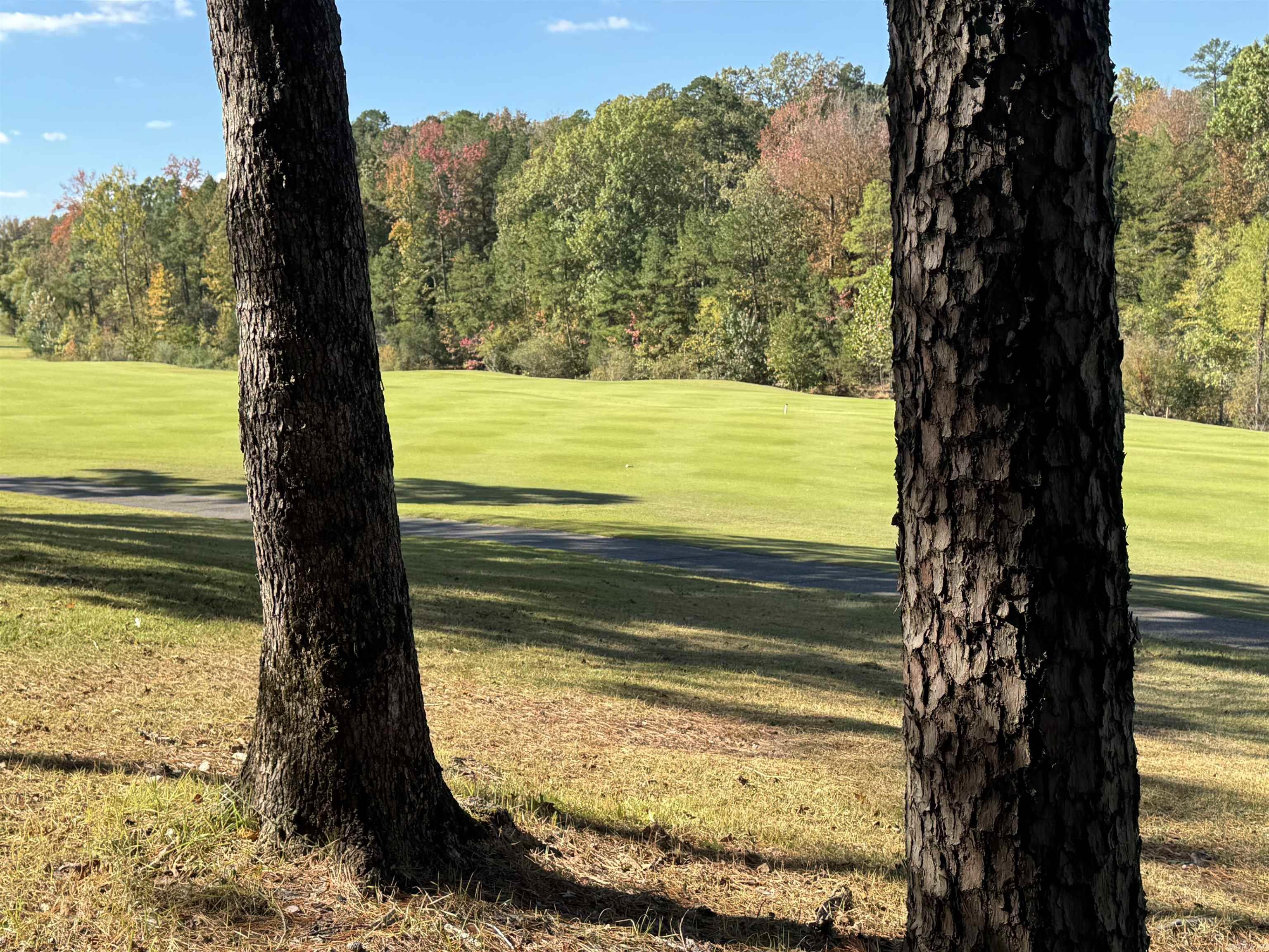 18 Darro  Hot Springs Village, AR