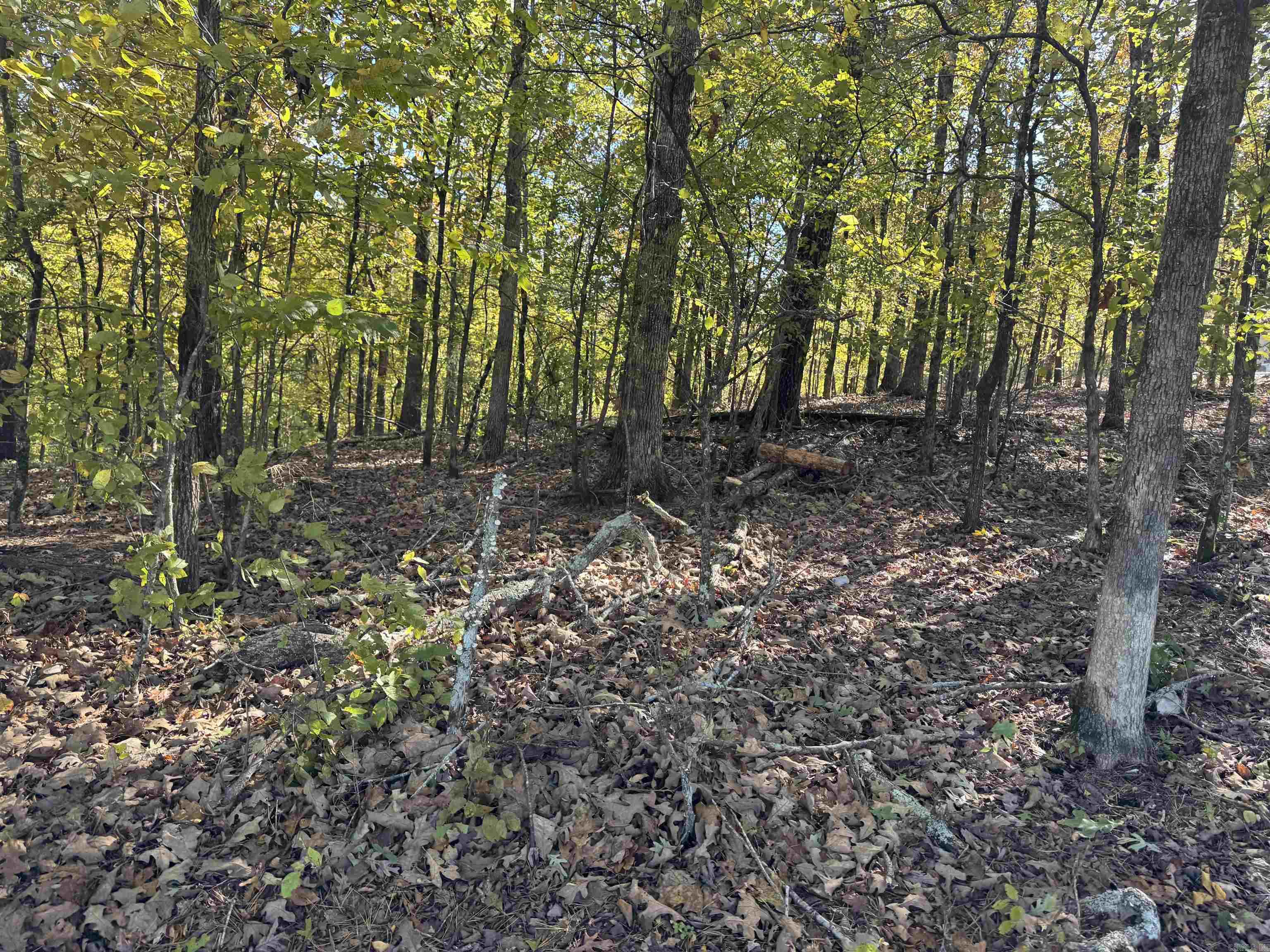 18 Darro  Hot Springs Village, AR