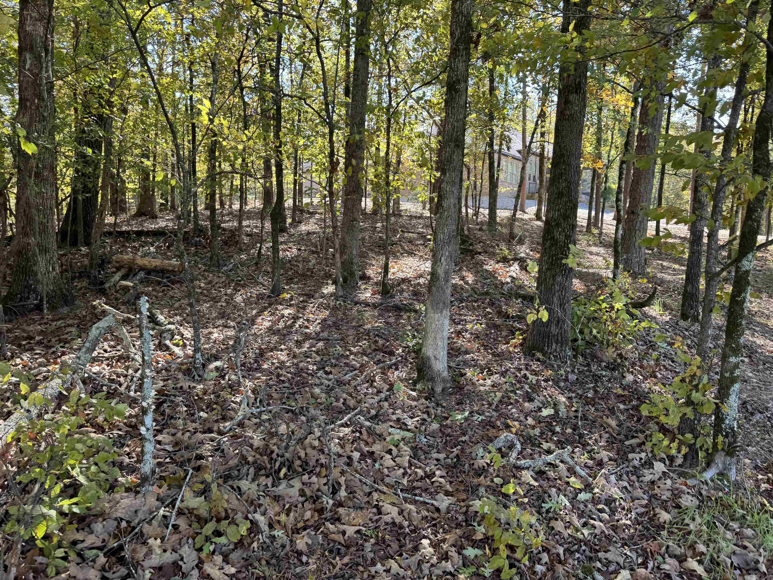 18 Darro  Hot Springs Village, AR