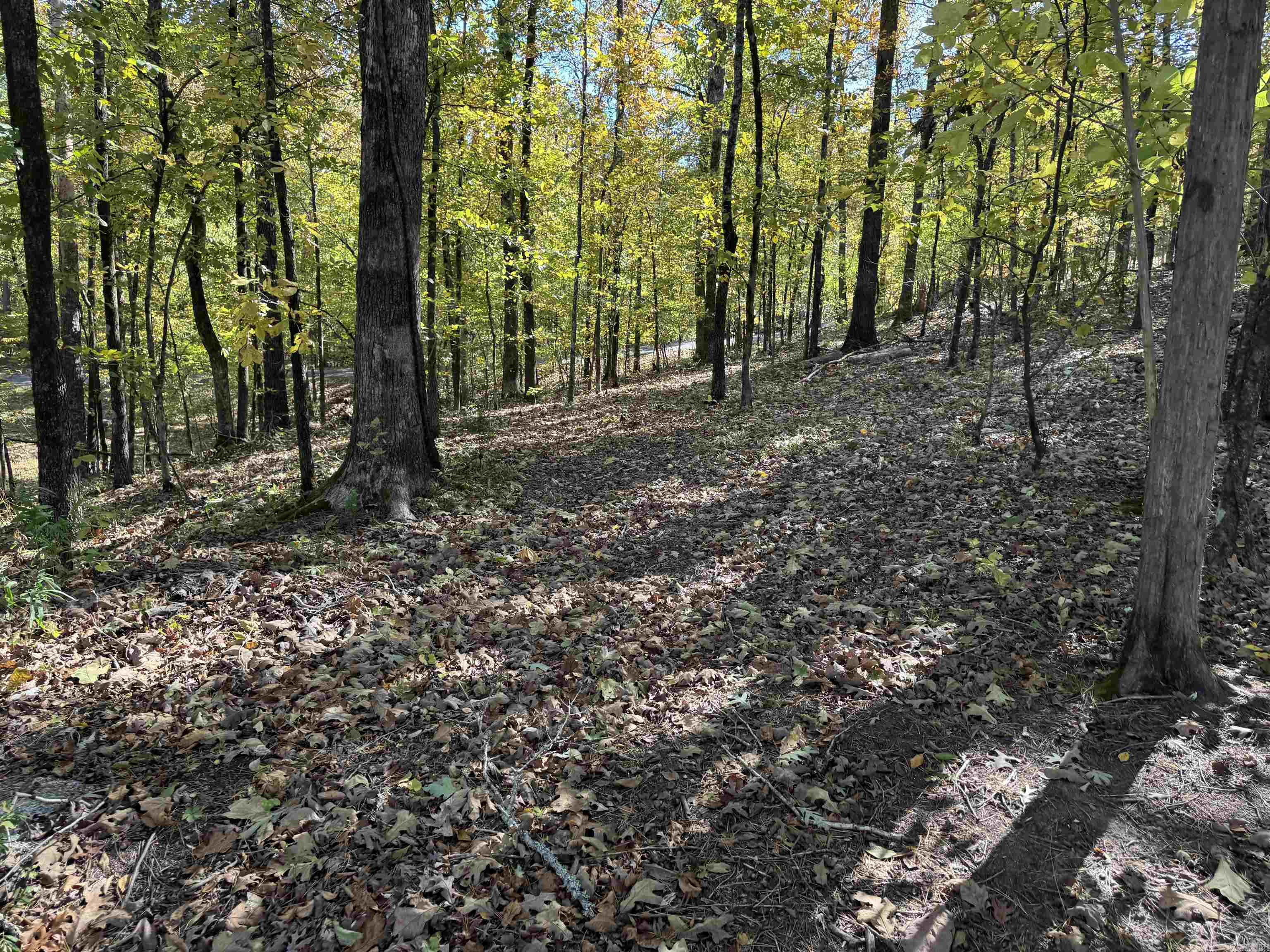 18 Darro  Hot Springs Village, AR