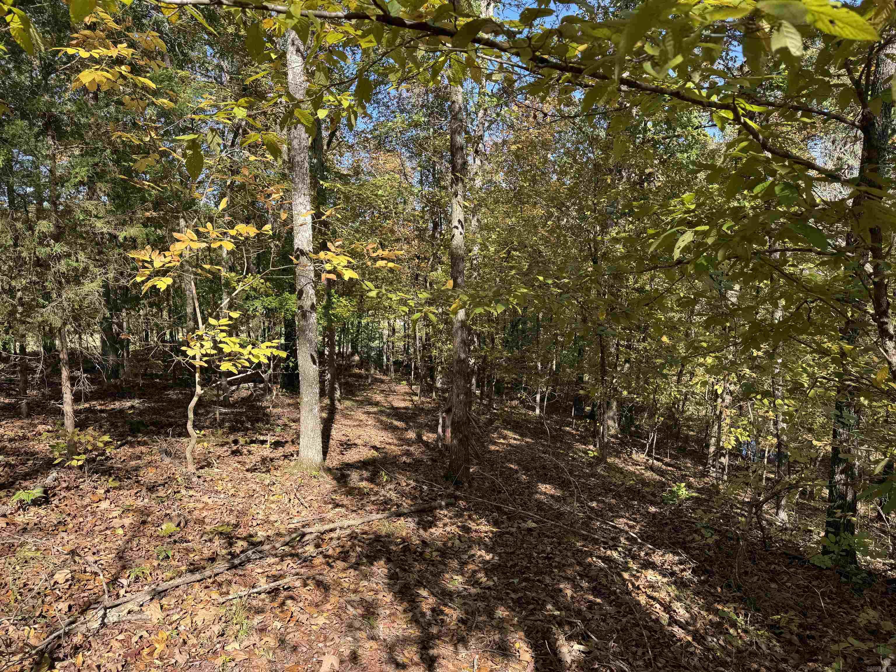 18 Darro  Hot Springs Village, AR