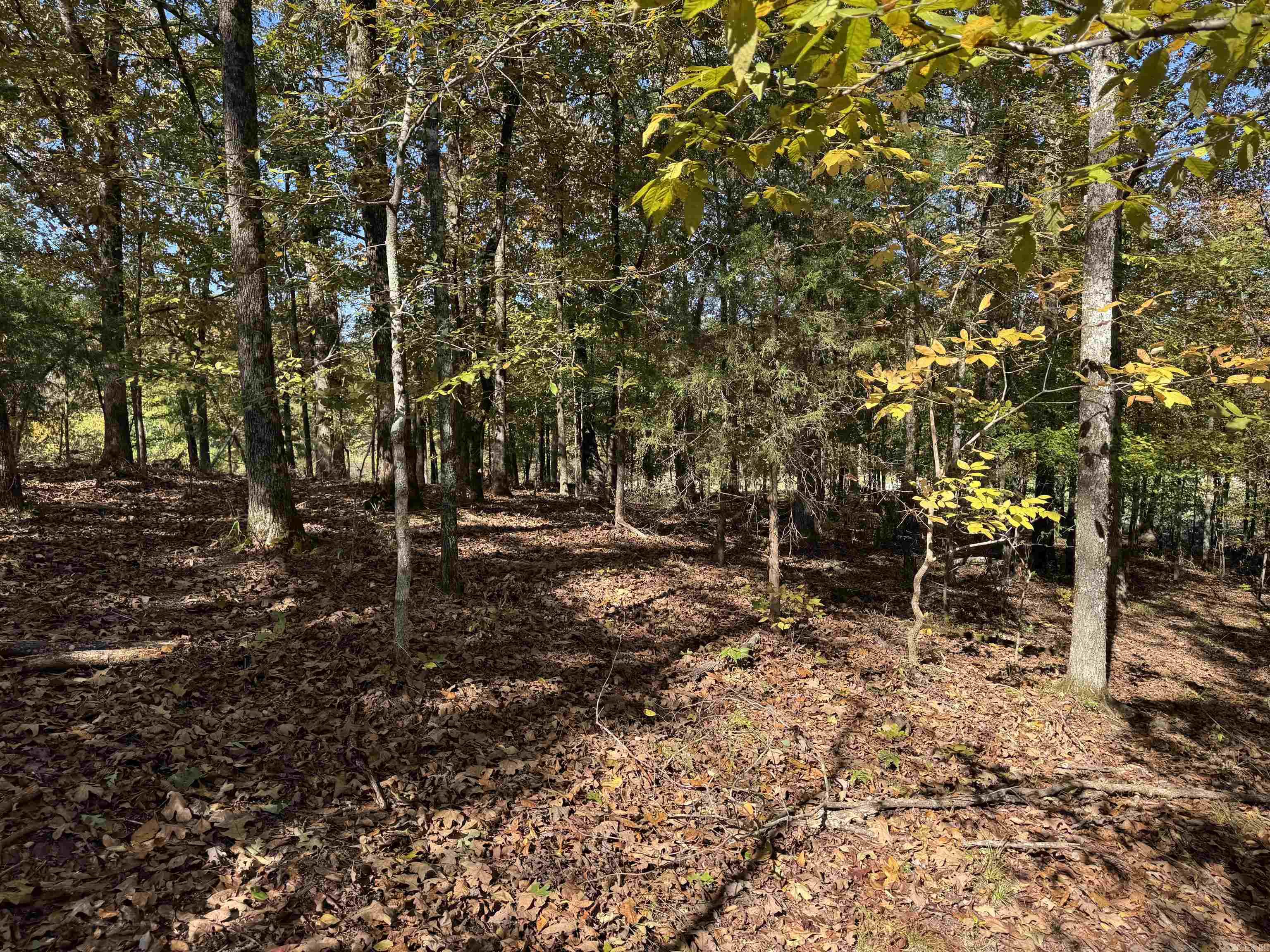 18 Darro  Hot Springs Village, AR