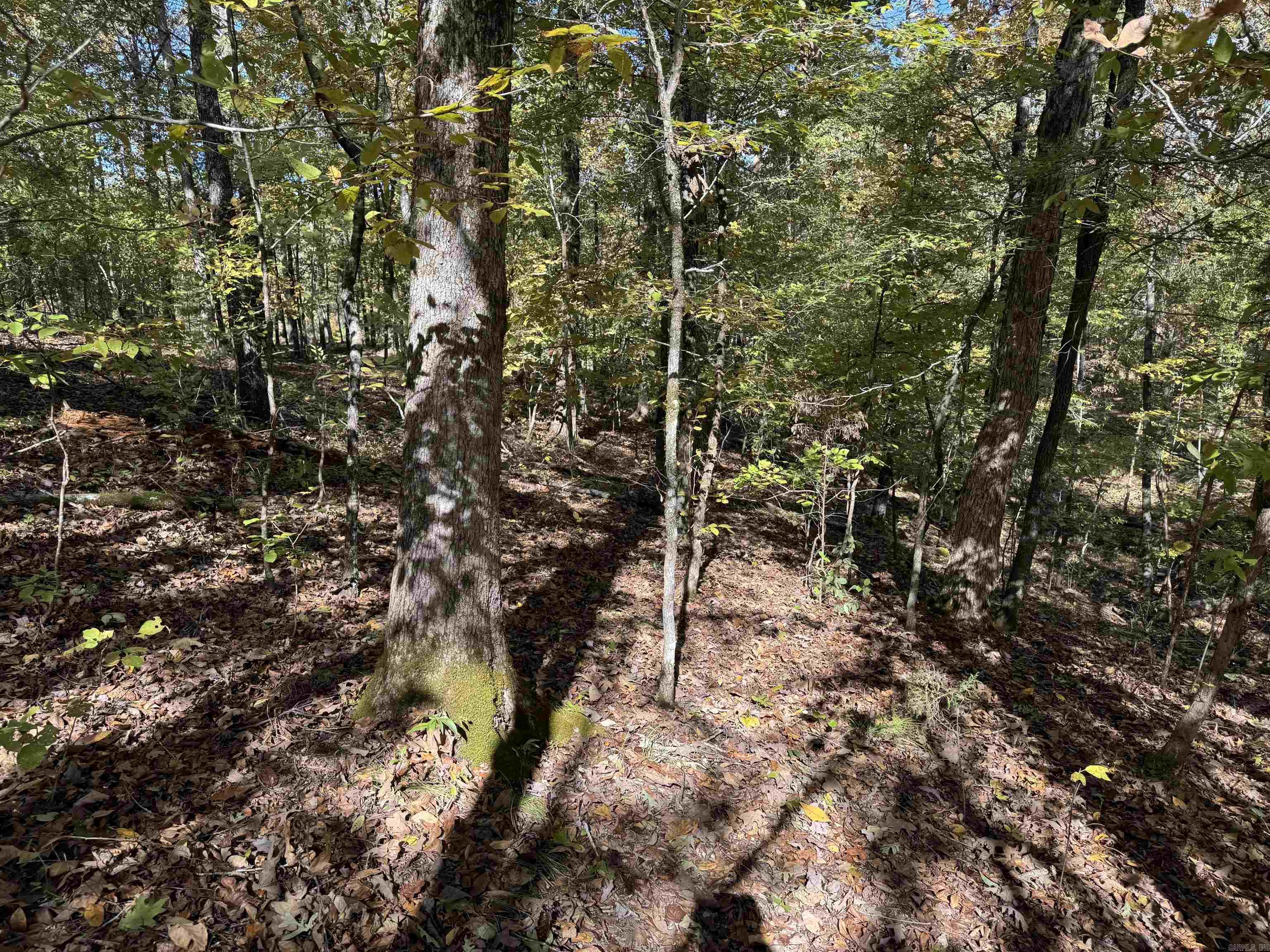 18 Darro  Hot Springs Village, AR