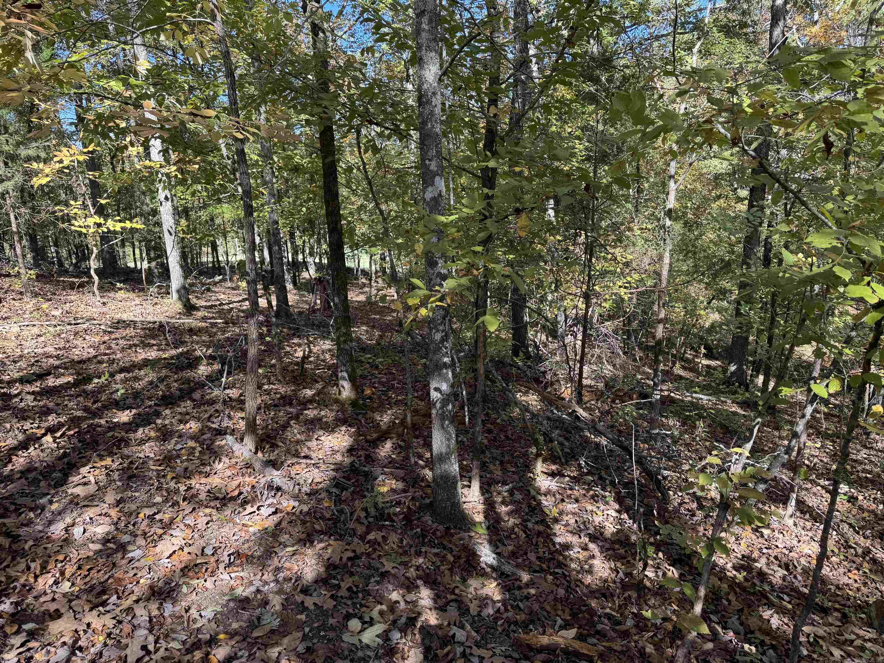 18 Darro  Hot Springs Village, AR