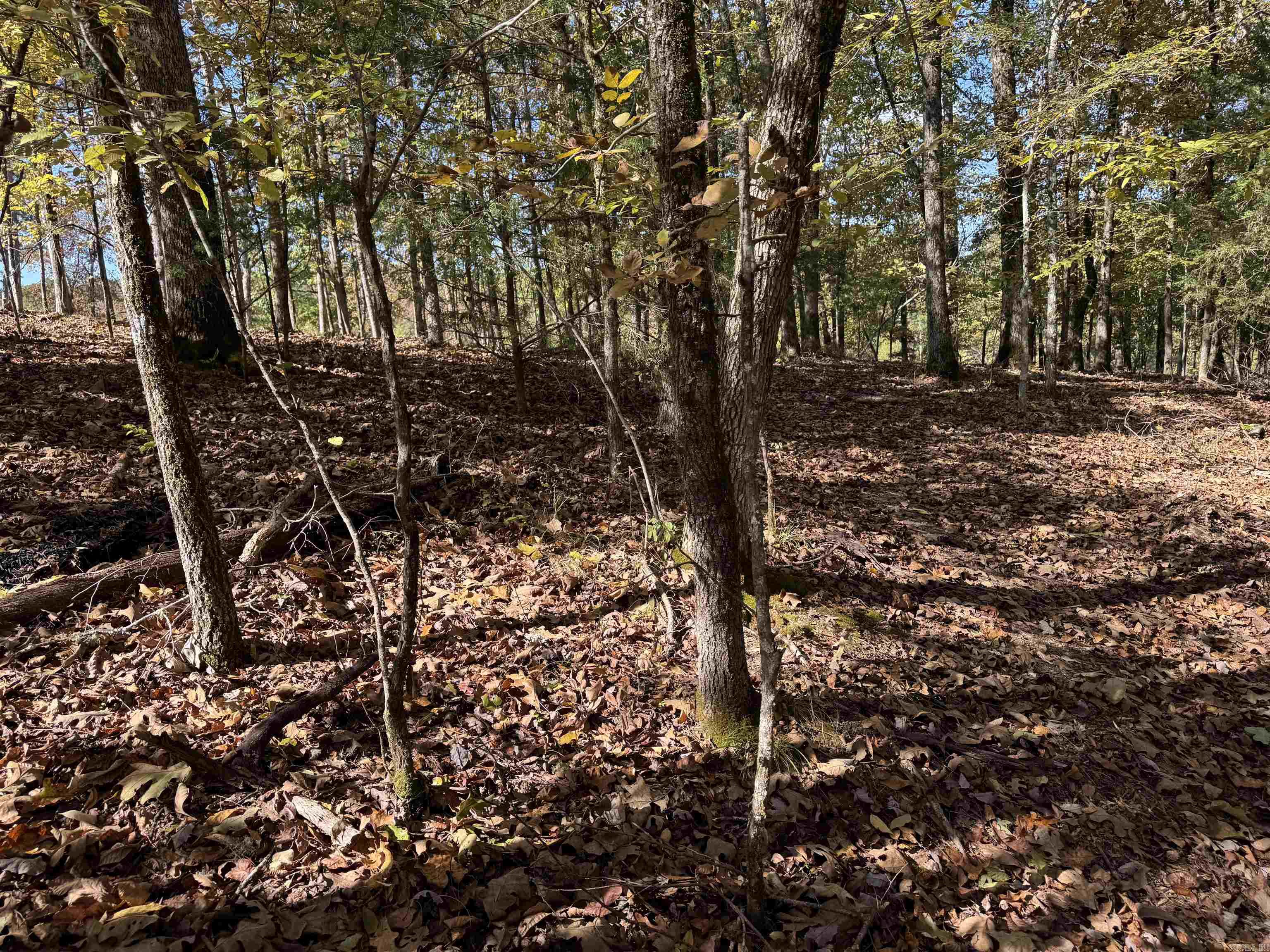 18 Darro  Hot Springs Village, AR