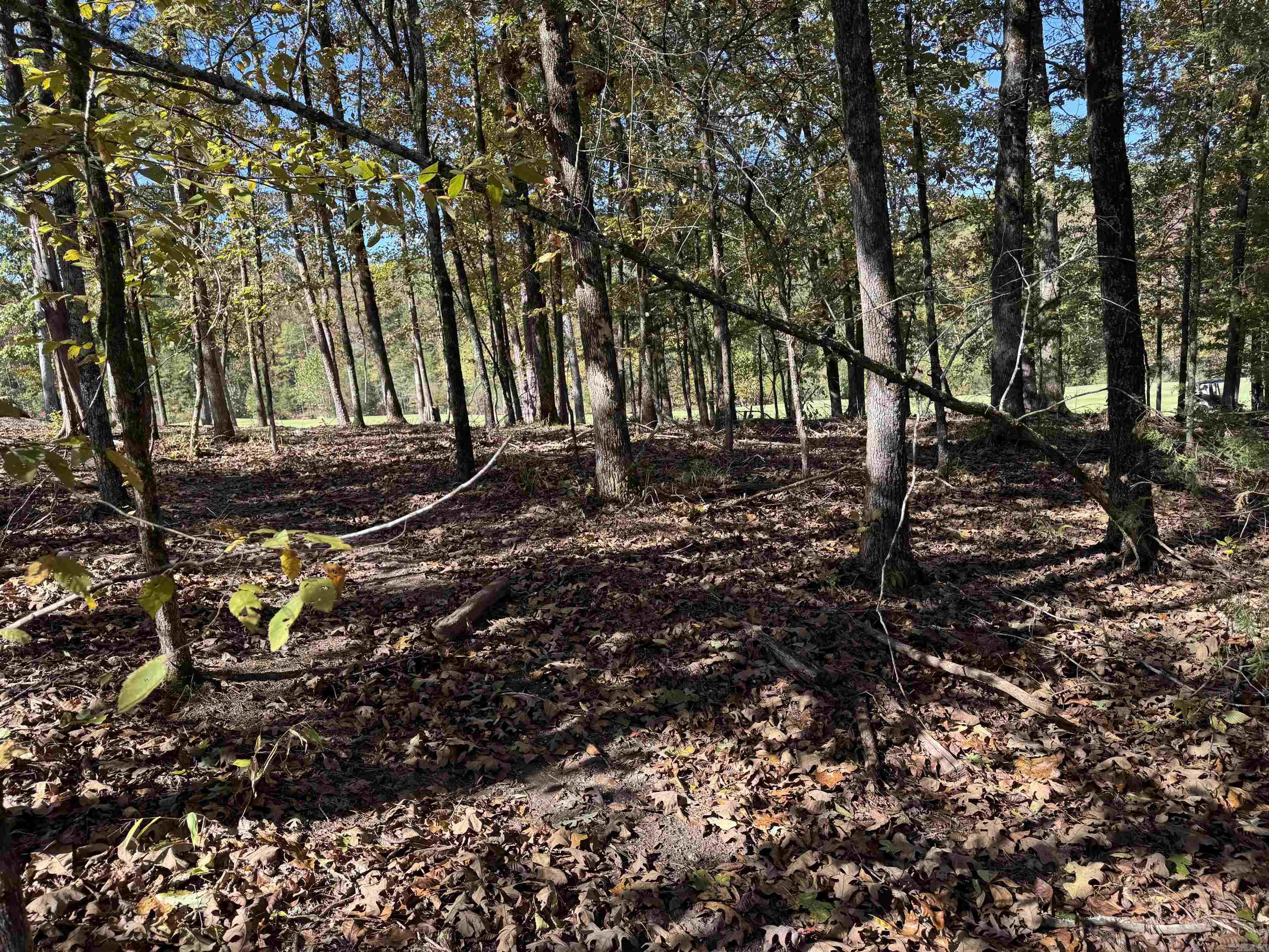 18 Darro  Hot Springs Village, AR