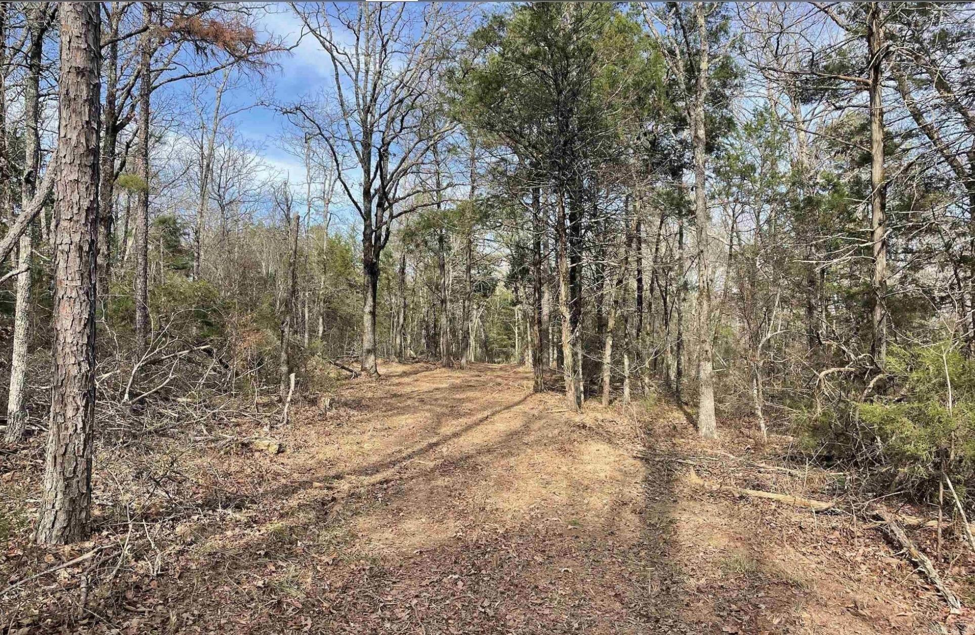 1787 Overton  Shirley, AR