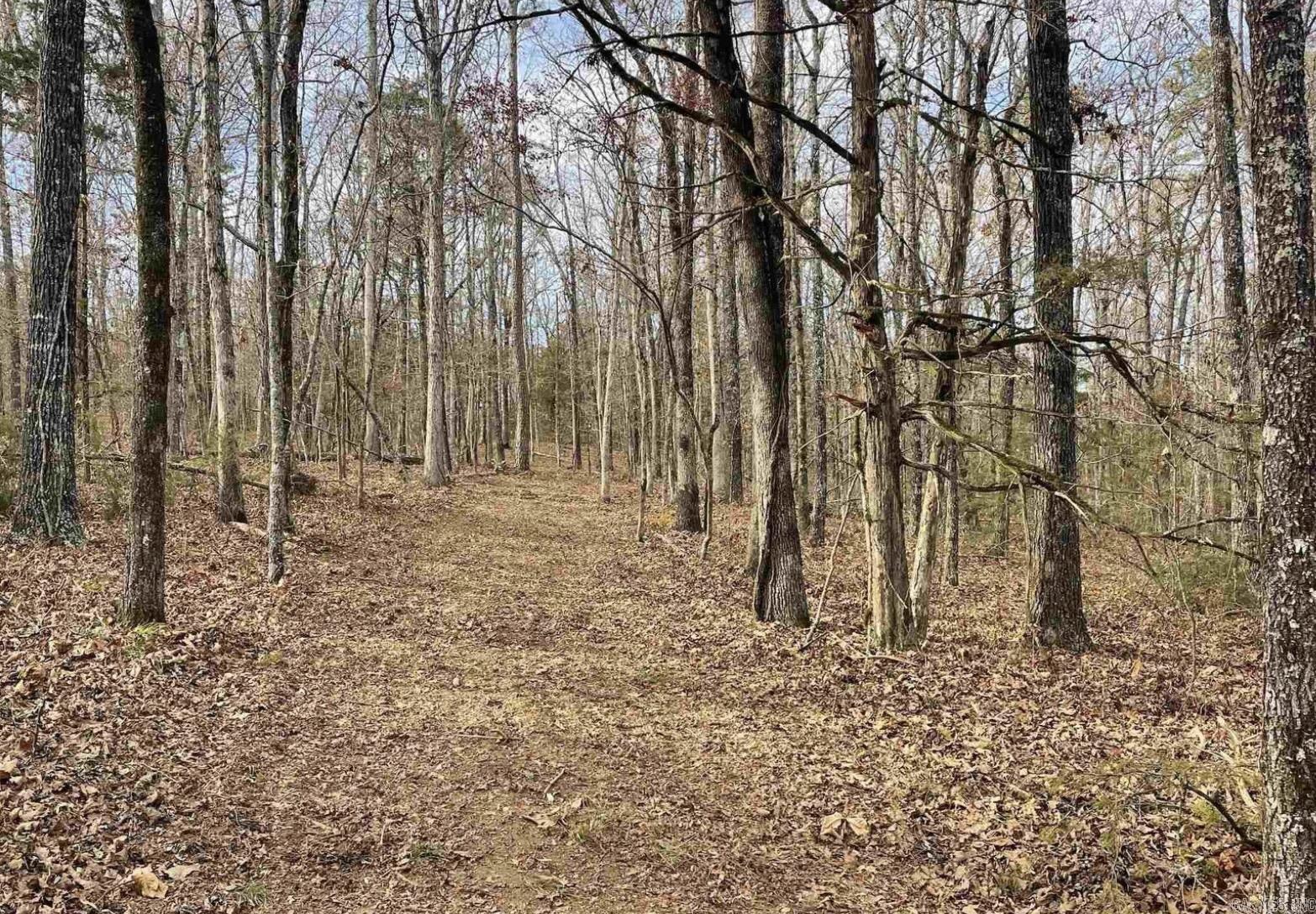 1787 Overton  Shirley, AR