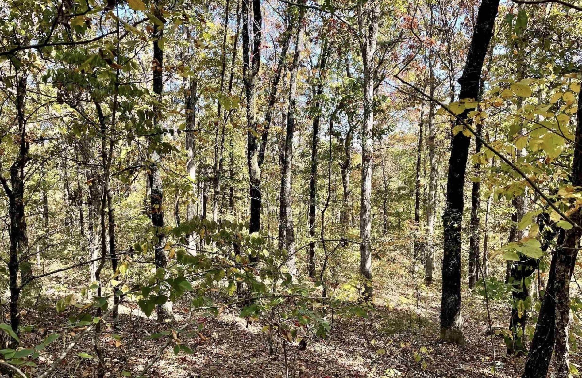 1787 Overton  Shirley, AR