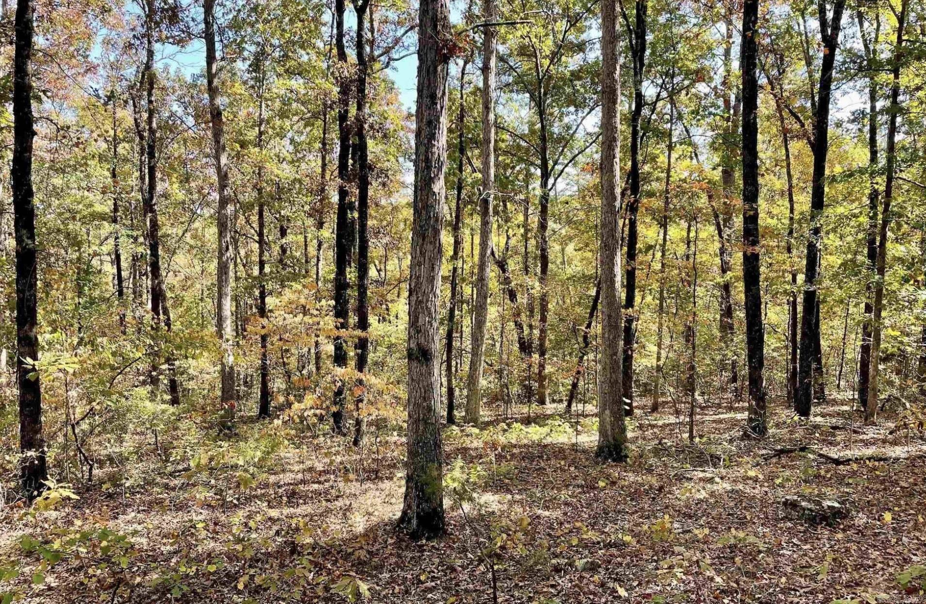 1787 Overton  Shirley, AR