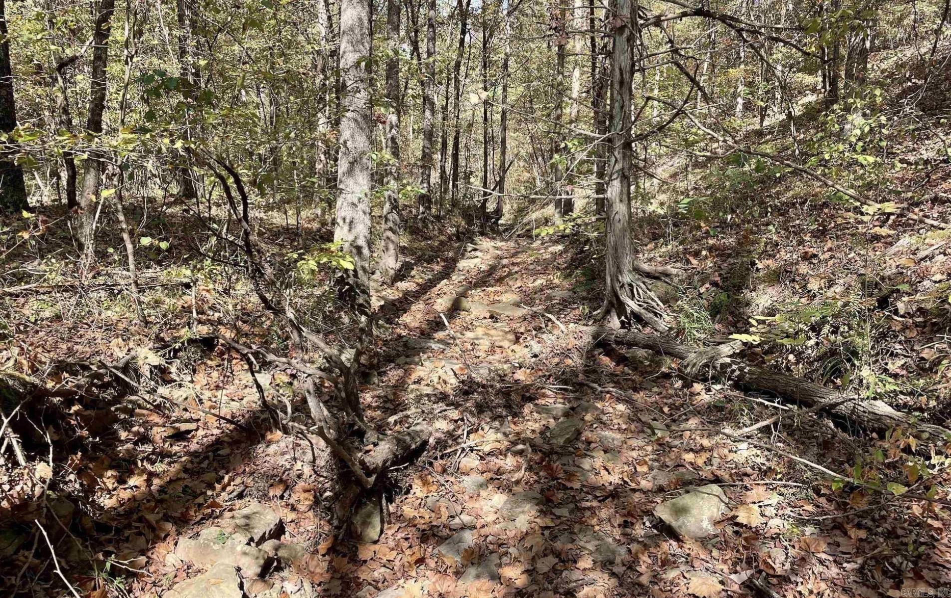 1787 Overton  Shirley, AR