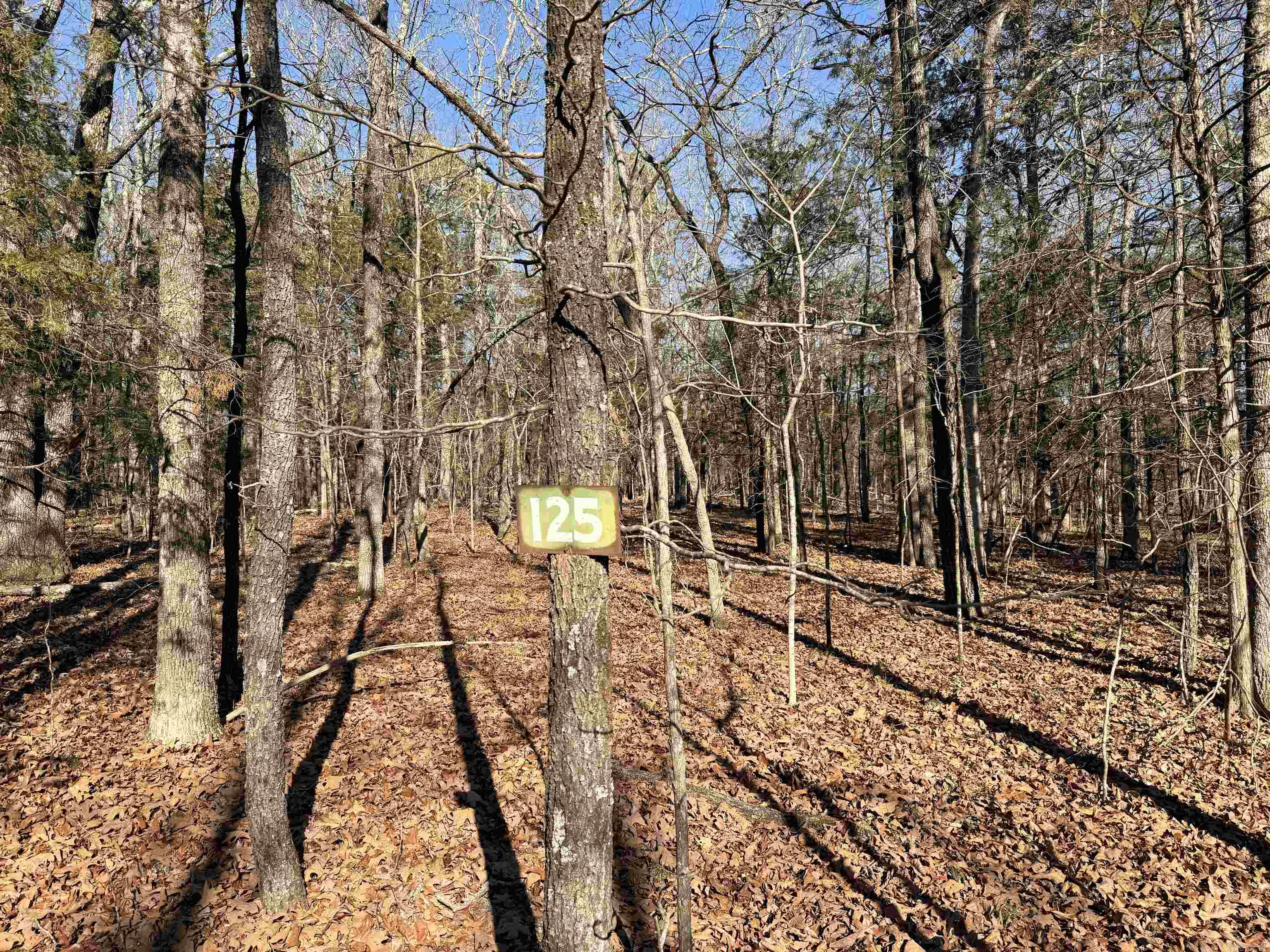 Lot 125 Tannenbaum Rd.  Drasco, AR