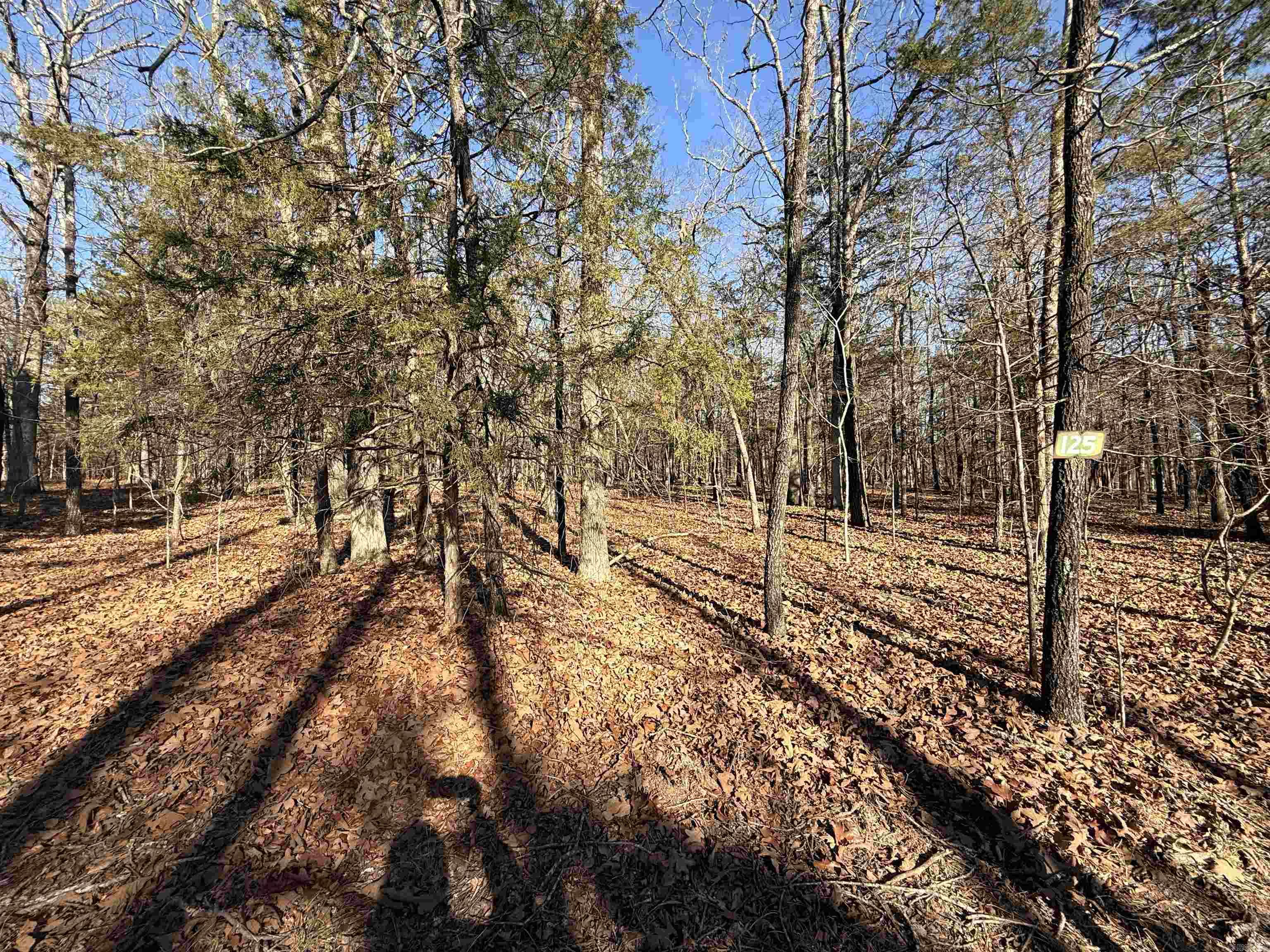 Lot 125 Tannenbaum Rd.  Drasco, AR
