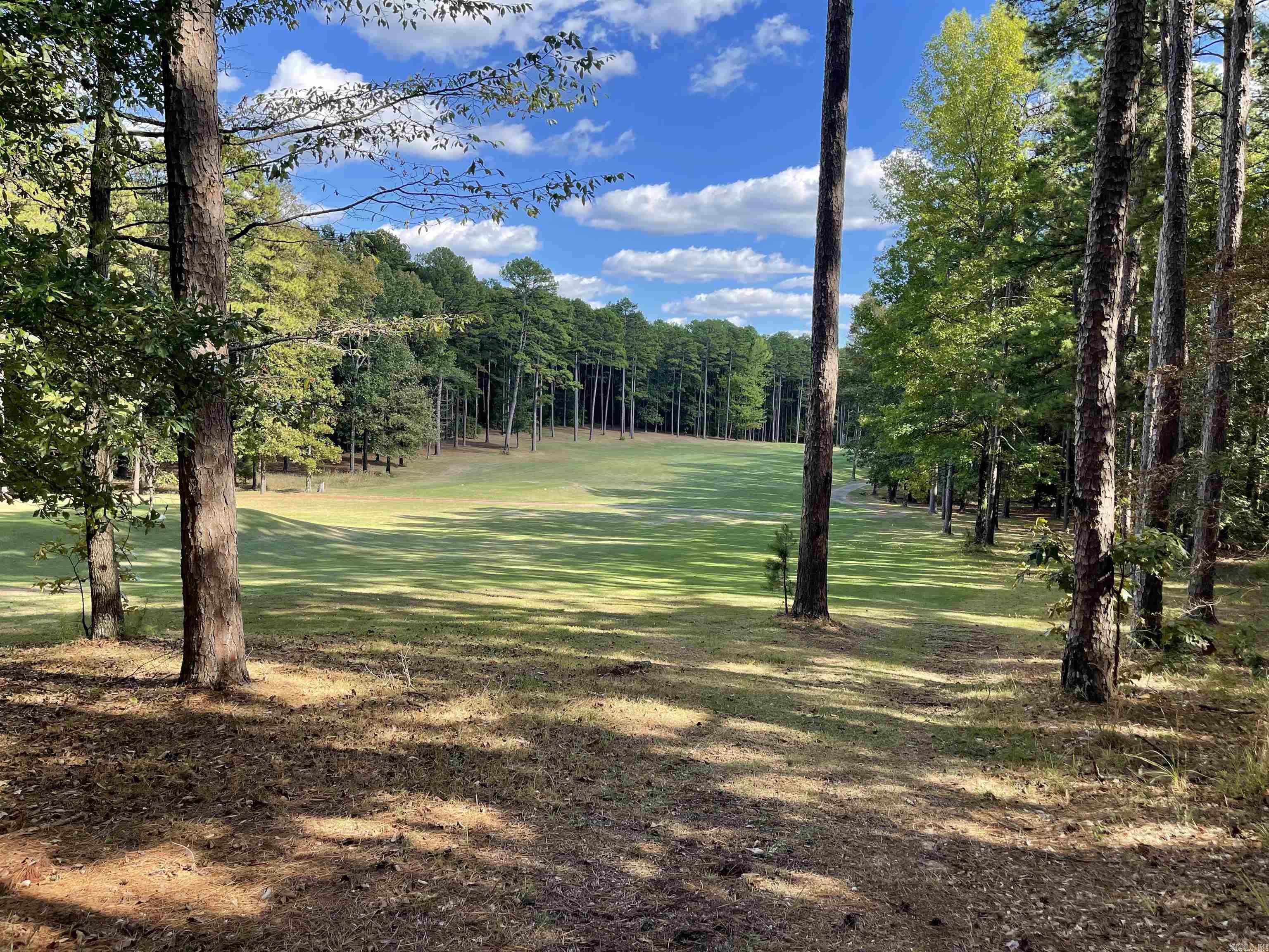 Lot 125 Tannenbaum Rd.  Drasco, AR