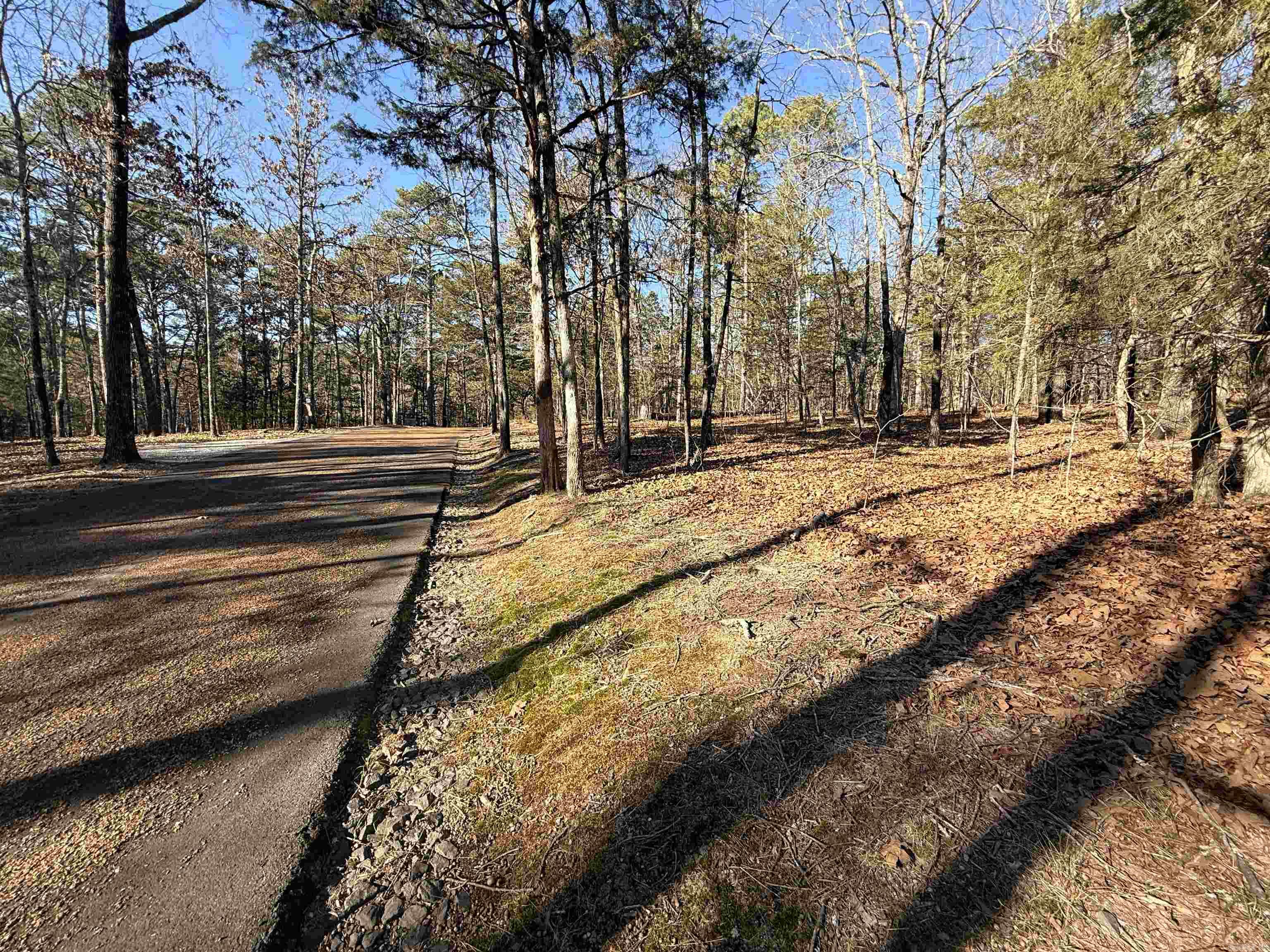Lot 125 Tannenbaum Rd.  Drasco, AR