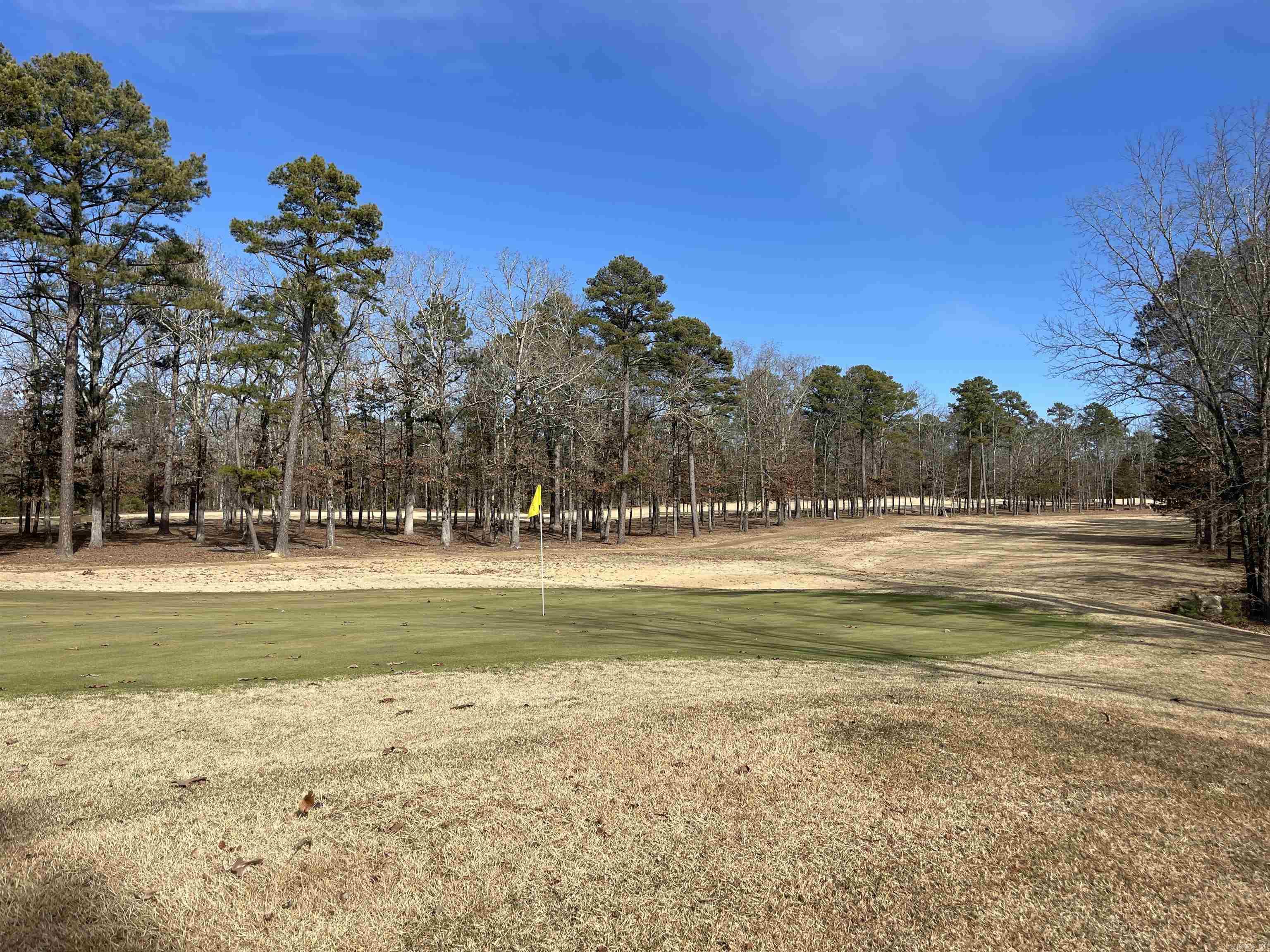 Lot 125 Tannenbaum Rd.  Drasco, AR