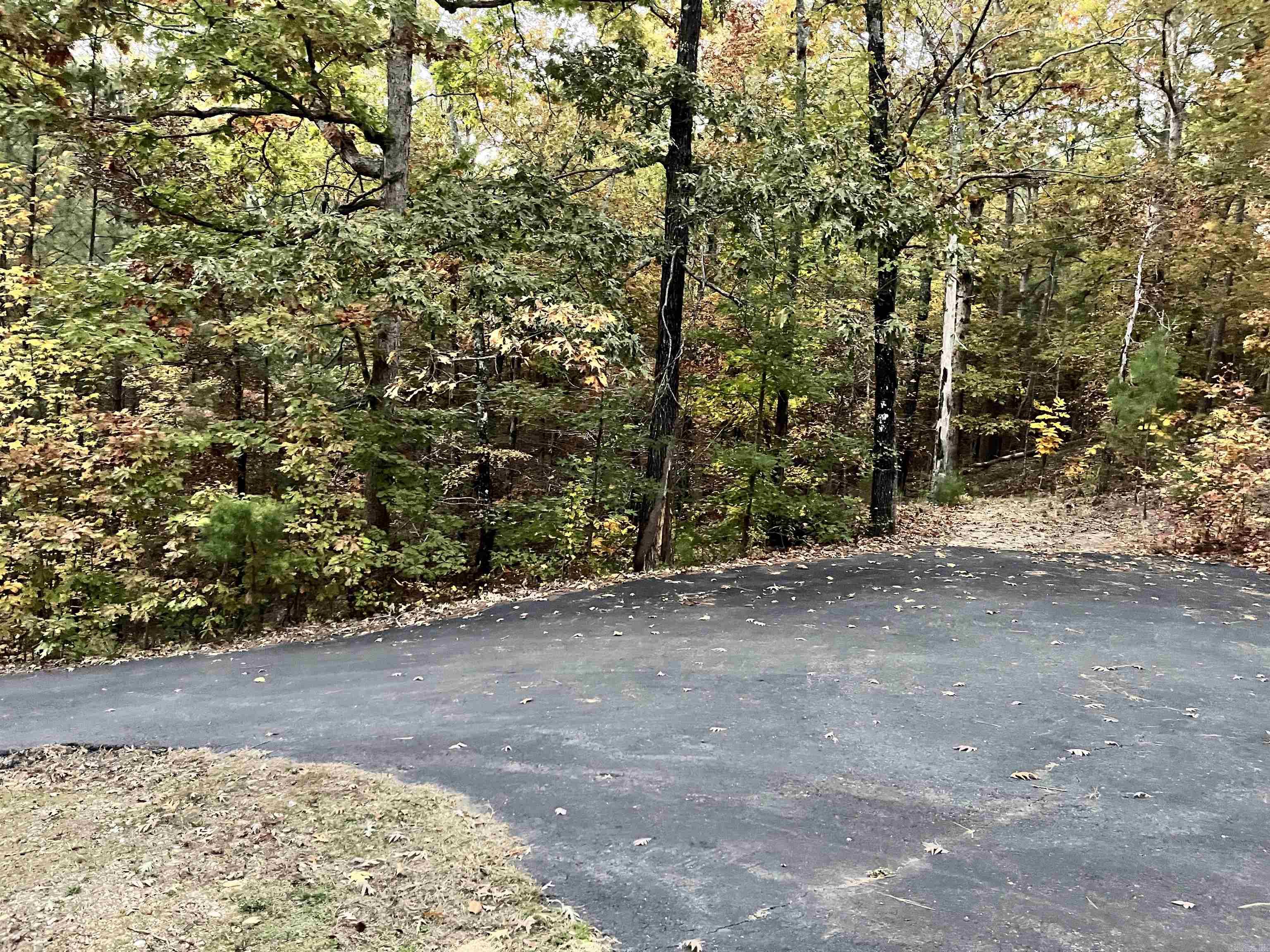 604 W Goathill  Hot Springs, AR