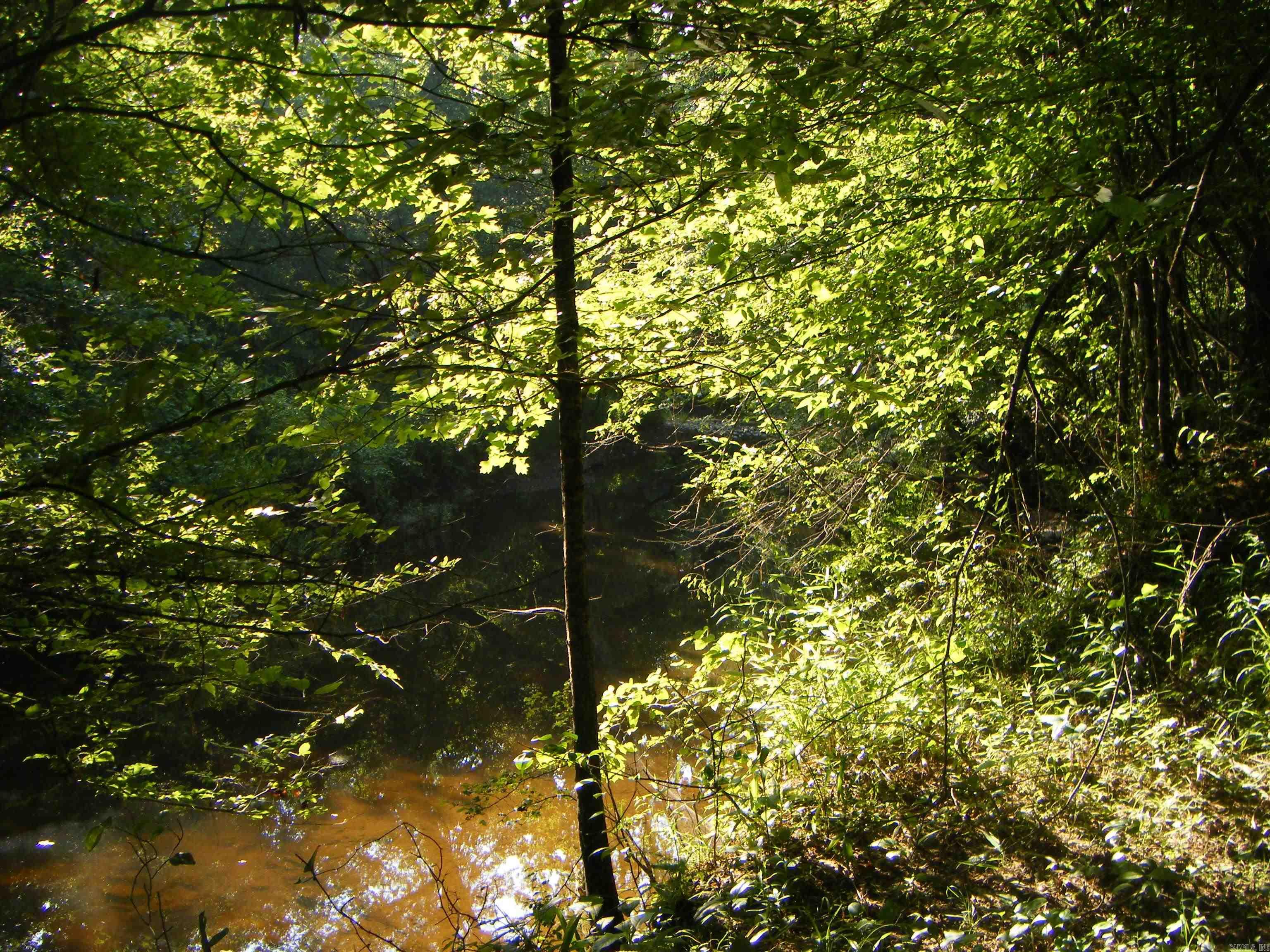 TBD Mosley  Arkadelphia, AR