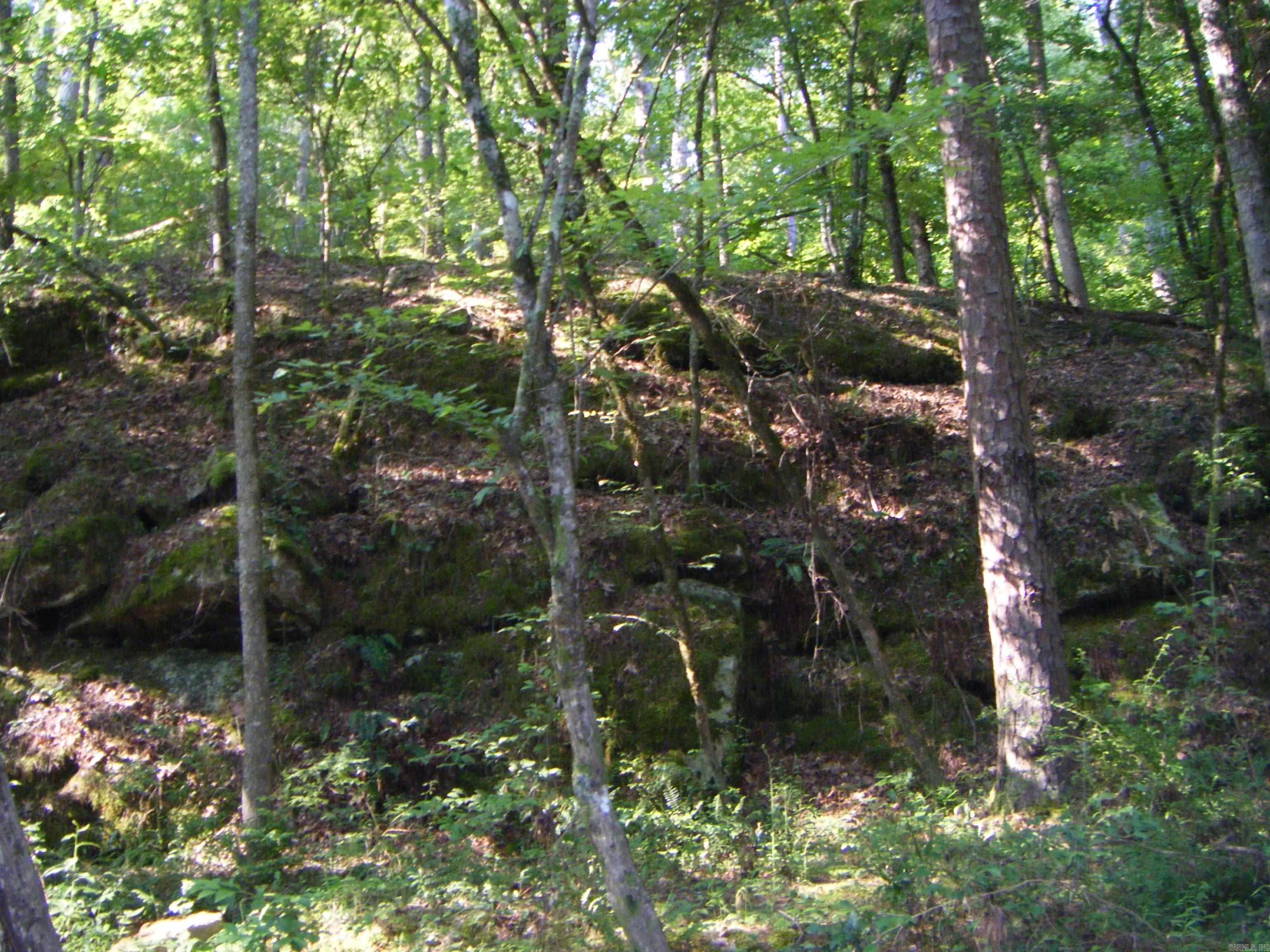 TBD Mosley  Arkadelphia, AR