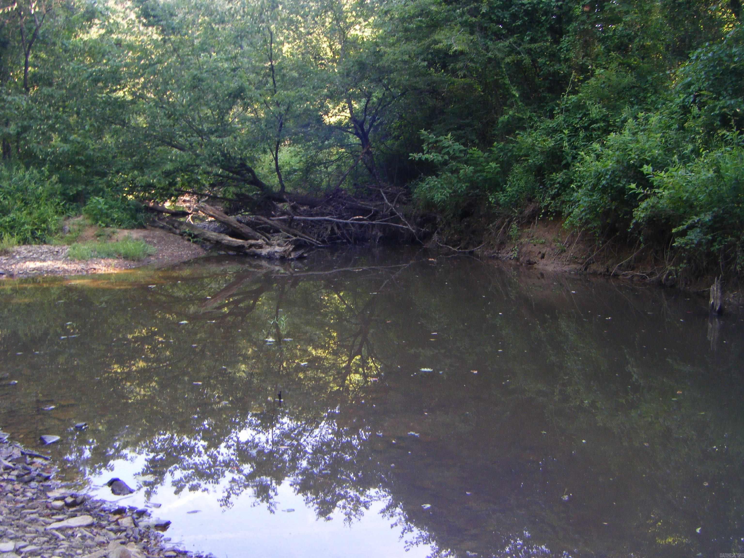 TBD Mosley  Arkadelphia, AR