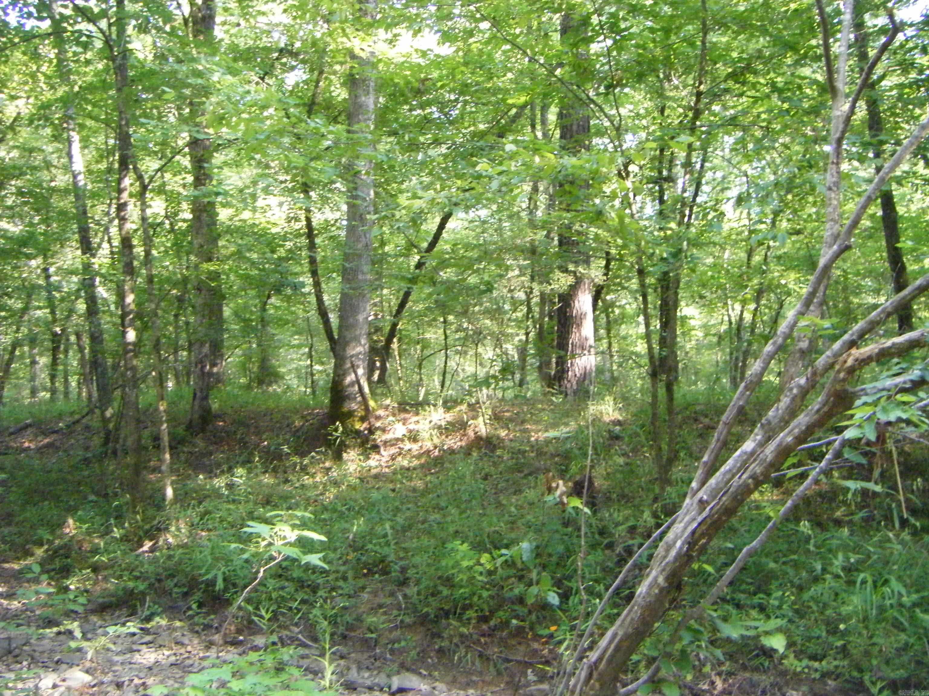 TBD Mosley  Arkadelphia, AR