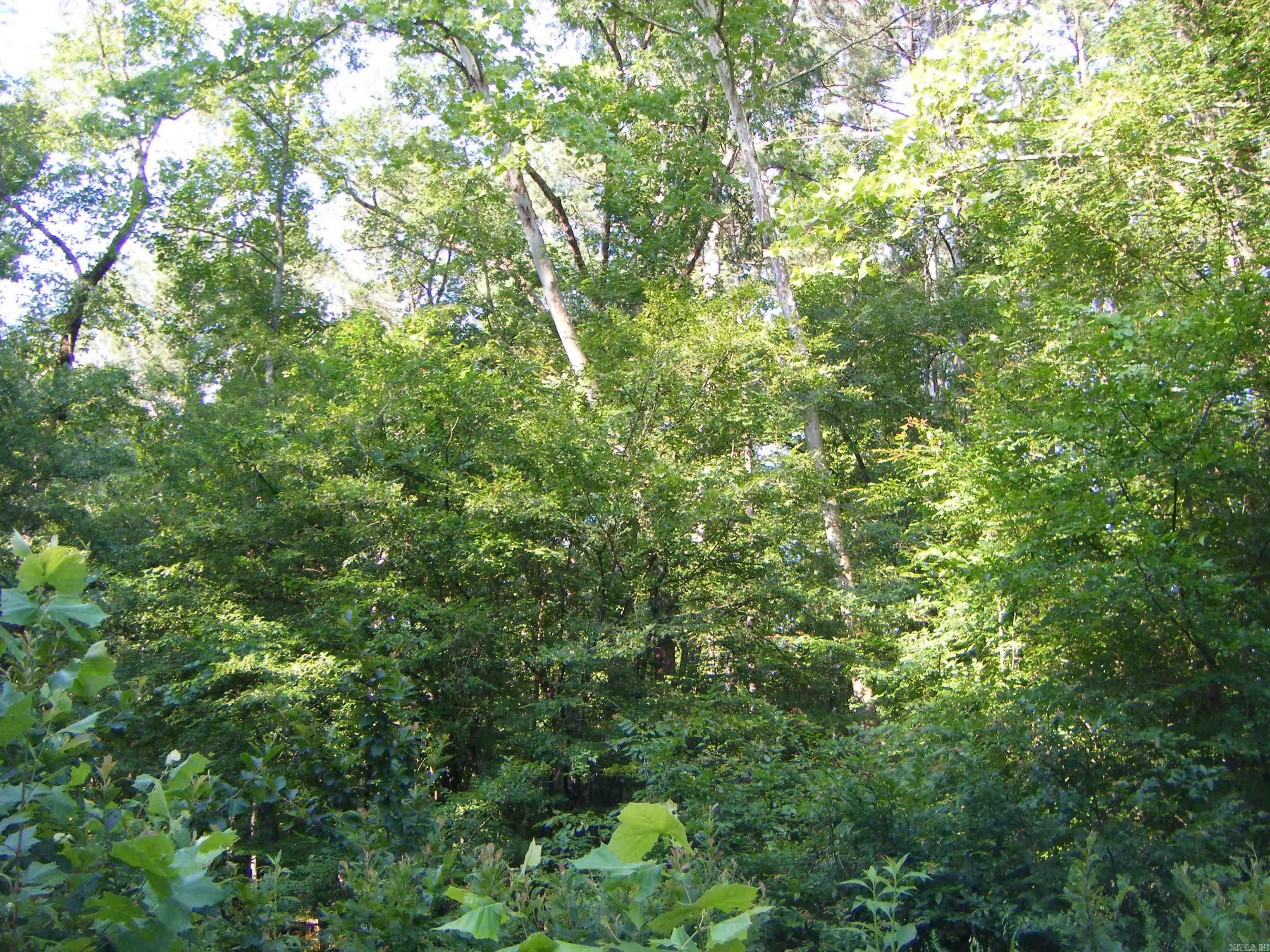 TBD Mosley  Arkadelphia, AR