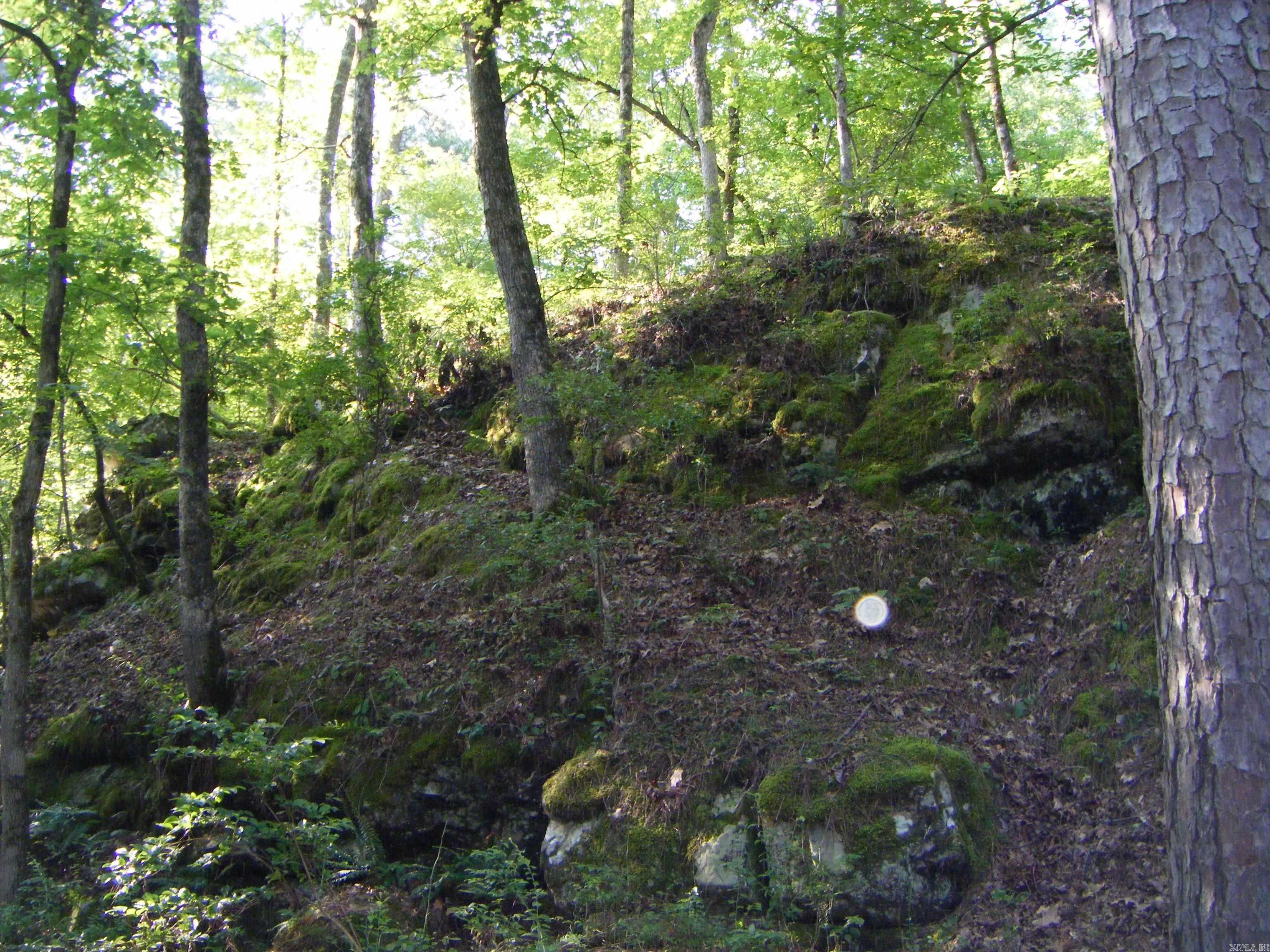 TBD Mosley  Arkadelphia, AR