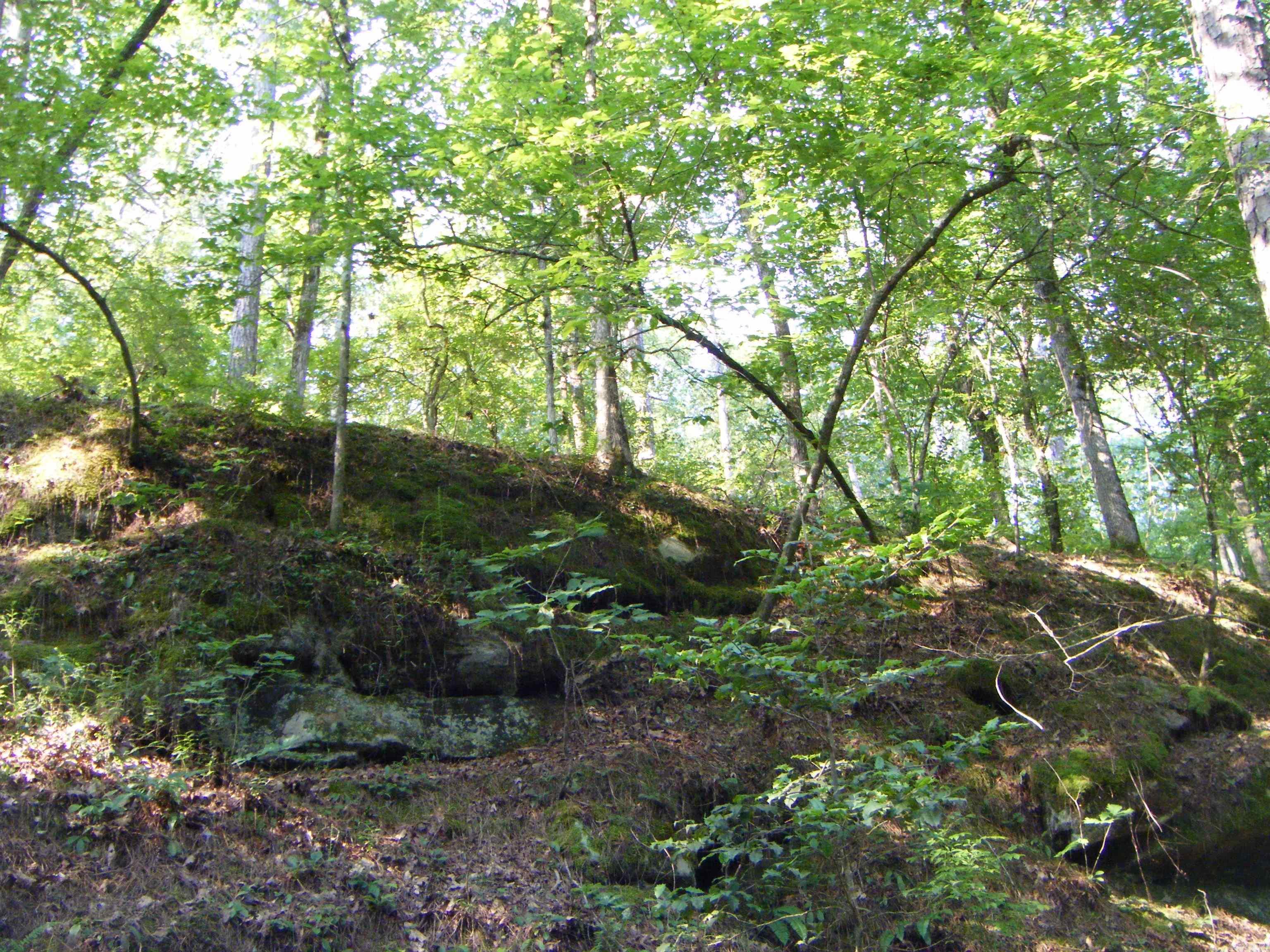 TBD Mosley  Arkadelphia, AR