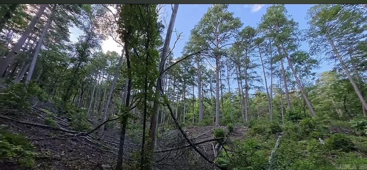 45 Tenerife  Hot Springs Village, AR