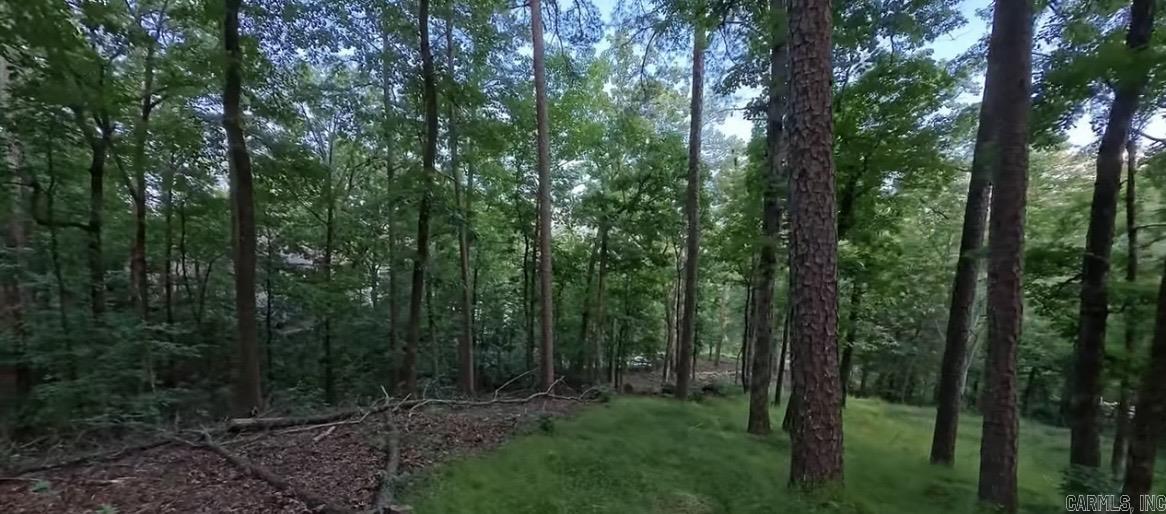 45 Tenerife  Hot Springs Village, AR