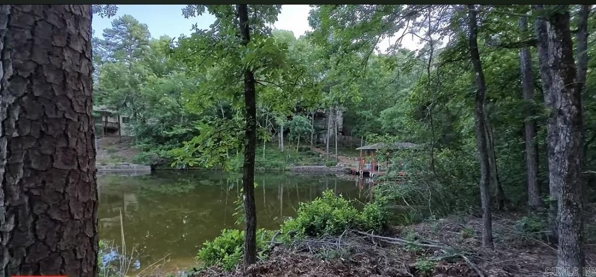 45 Tenerife  Hot Springs Village, AR